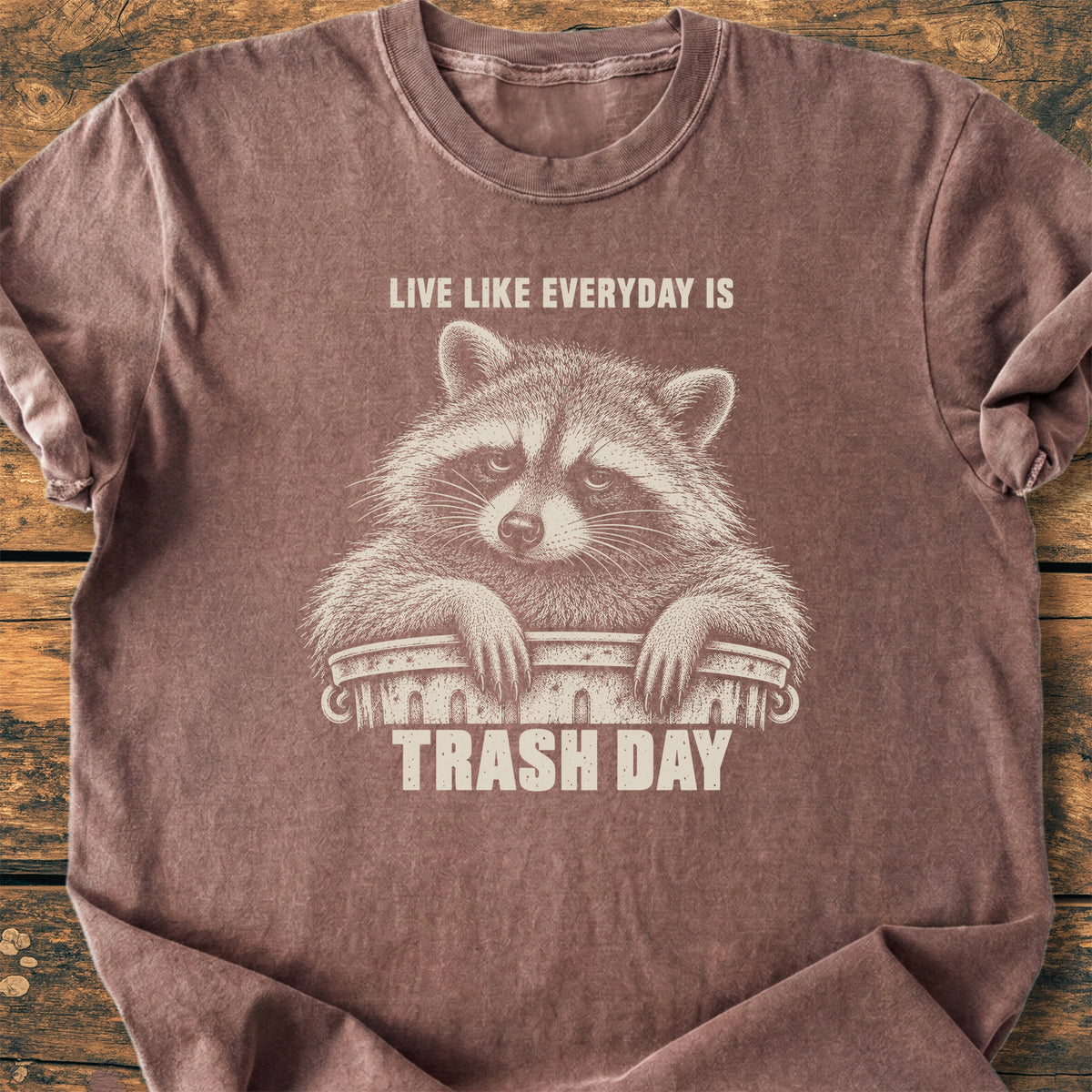 Trash Day - Premium Vintage Tee