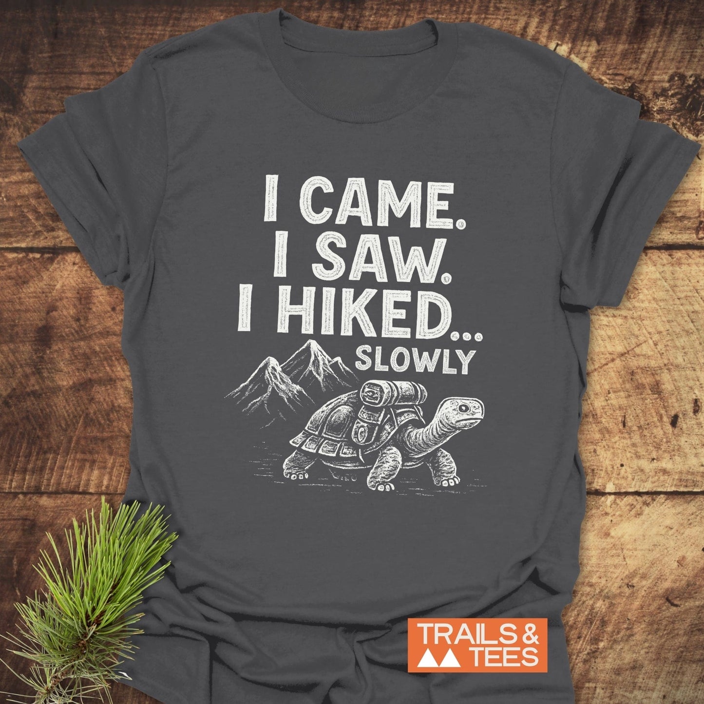 Dark-gray I Came, I Saw, I Hiked… Slowly T-shirt with tortoise graphic, showcasing outdoor spirit; soft ring-spun cotton, durable print.