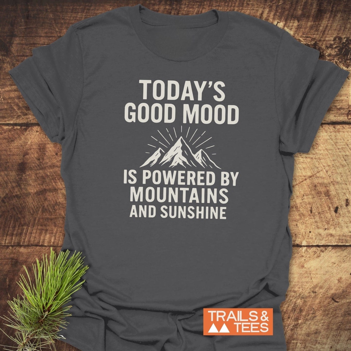 Powered By Mountains T-Shirt: Charcoal-gray, features mountain peak graphic with slogan. Soft, ring-spun cotton, pre-shrunk, durable print, taped shoulders, no side seams.