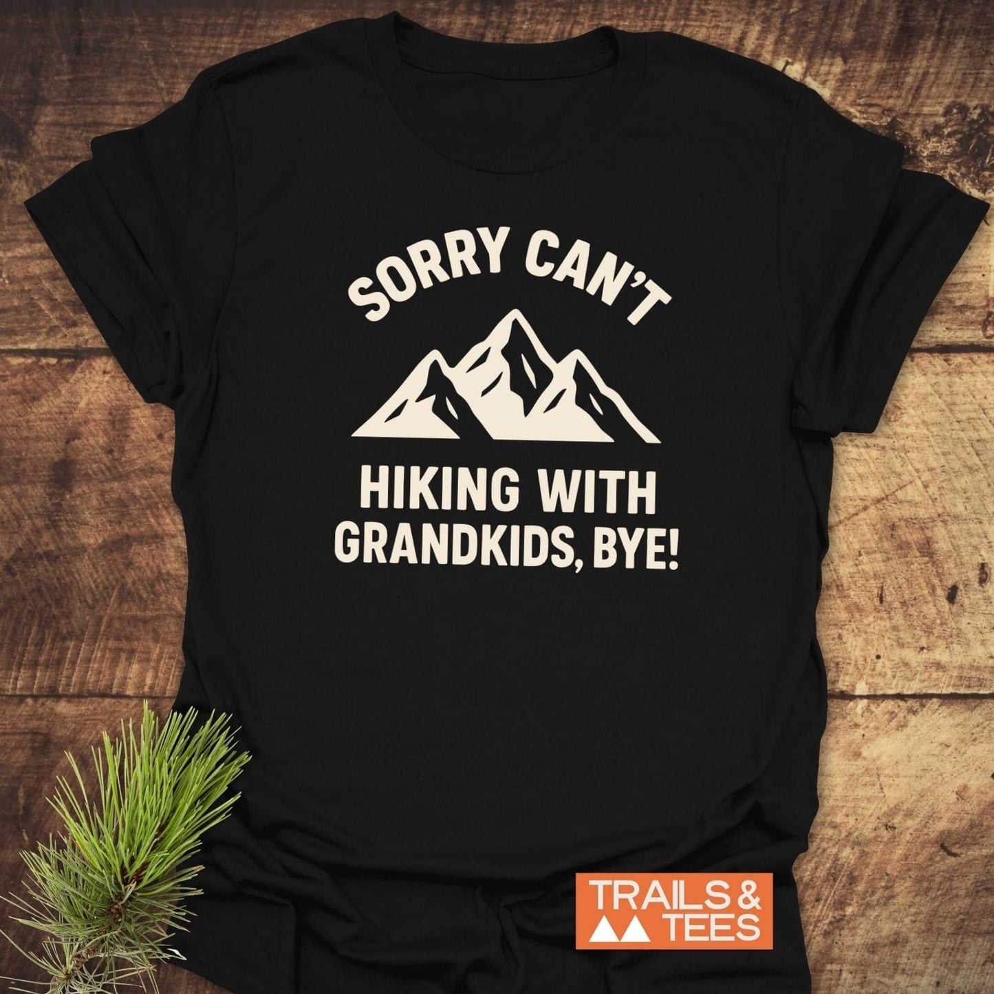 Black t-shirt with mountain graphic and slogan Sorry Can't, Hiking with Grandkids, Bye! by TRAILS & TEES; ring-spun cotton, durable print, pre-shrunk fit.