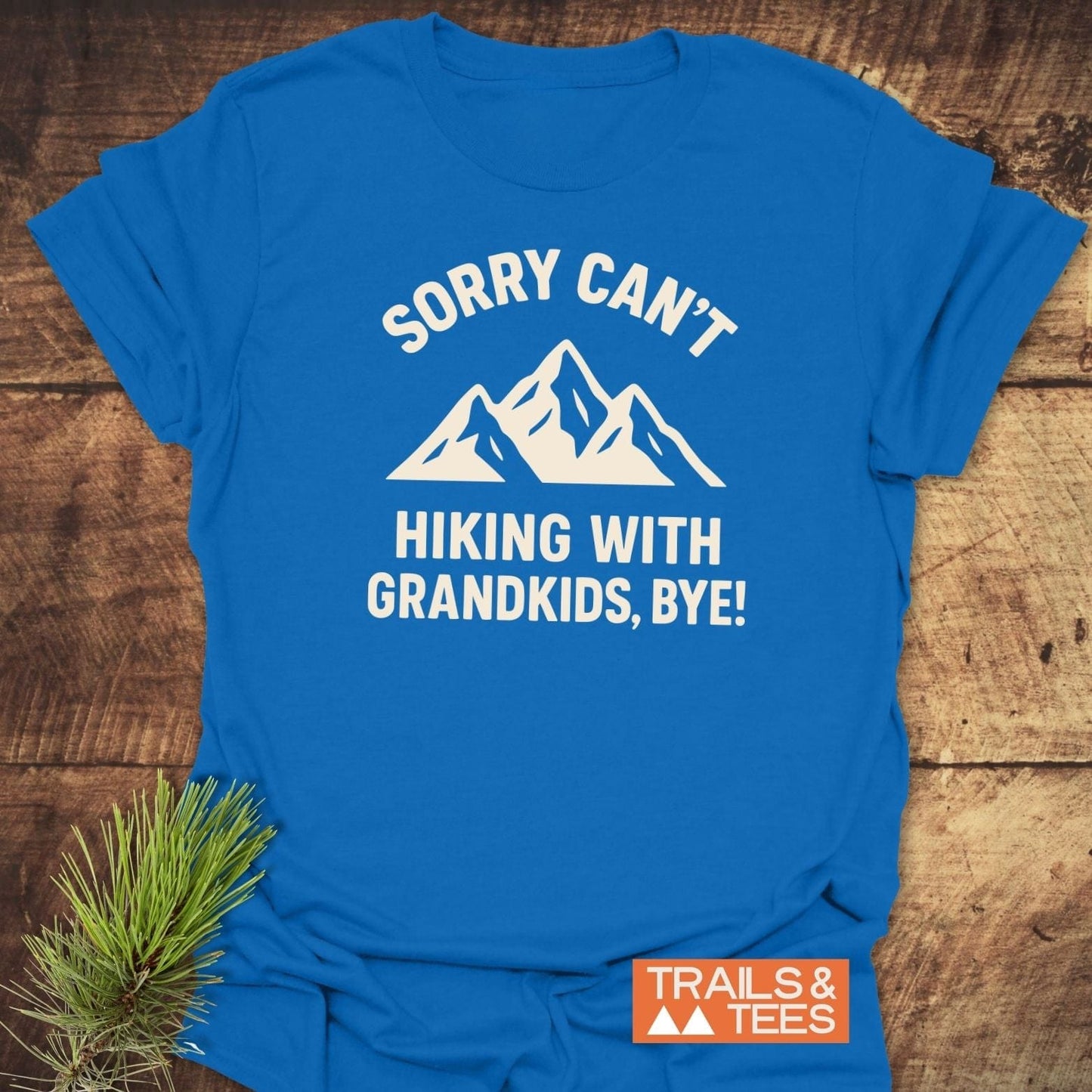 Sorry Hiking With Grandkids T-Shirt featuring a mountain graphic, soft ring-spun cotton, durable print, laid flat with a pine branch accent.