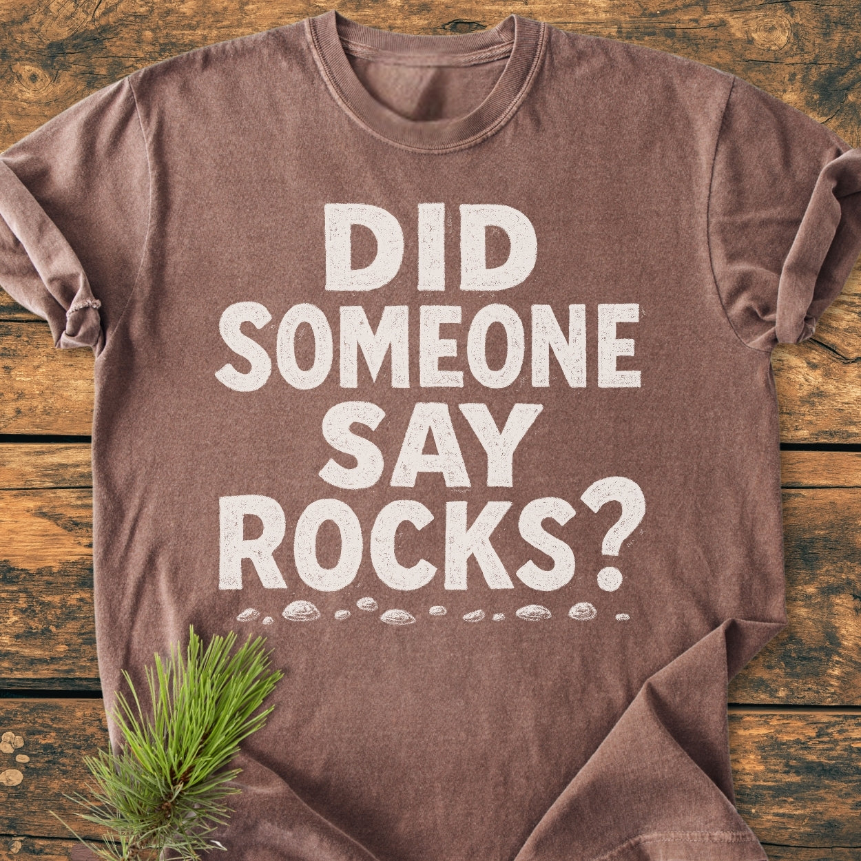 Brown short-sleeve Did Someone Say Rocks? Vintage Wash Tee with white text and pebble graphics on front, laid flat on wood, showcasing its relaxed, durable design and soft, garment-dyed fabric.