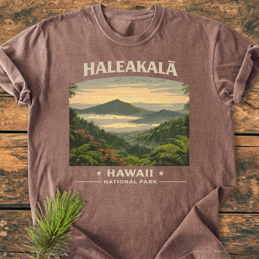 Haleakala Hawaii National Park - Vintage Wash Tee