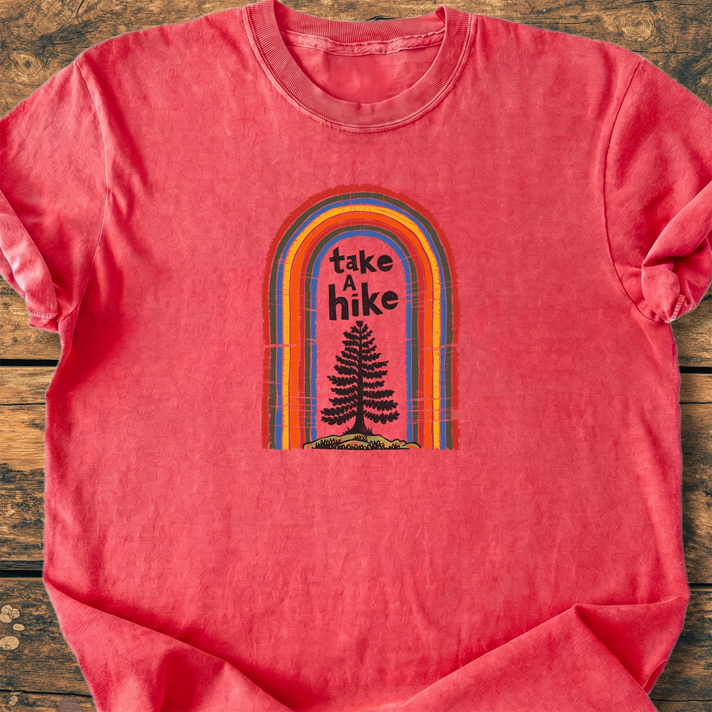 Take A Hike Rainbow - Premium Vintage Tee