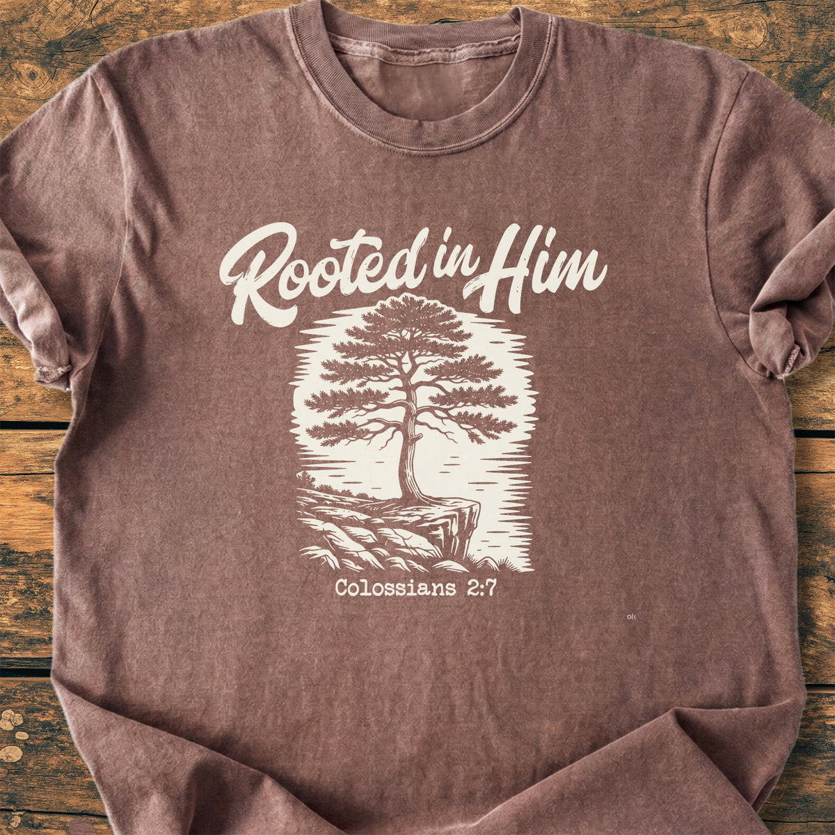 Rooted In Him - Premium Vintage Tee