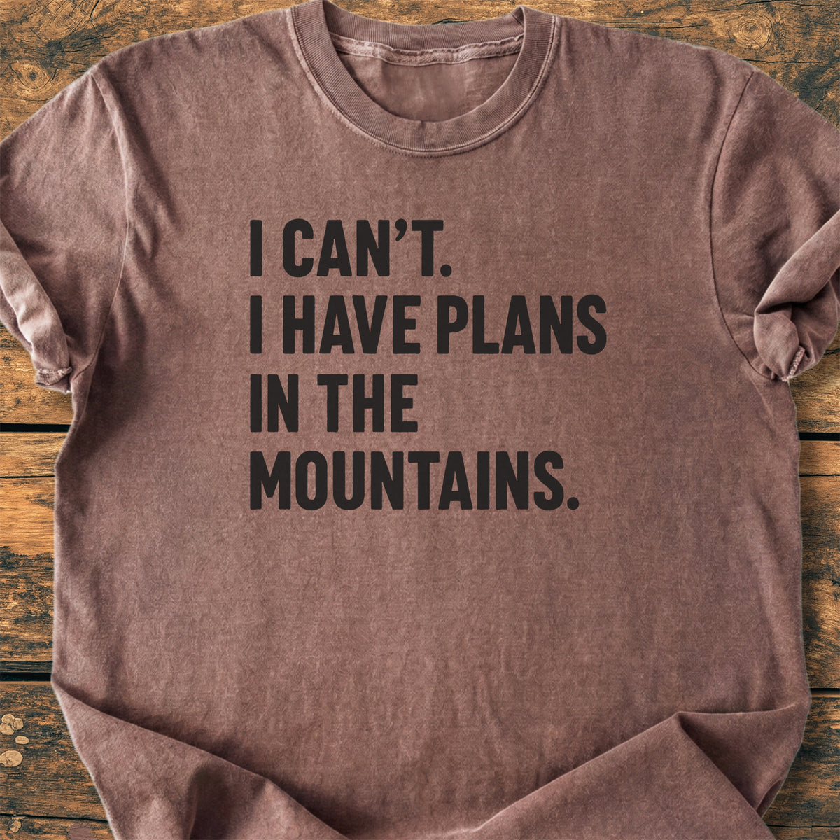 Plans In The Mountains - Premium Vintage Tee