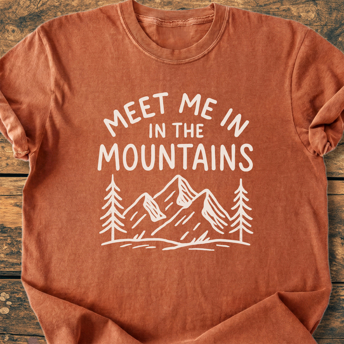 Meet Me In The Mountains - Premium Vintage Tee