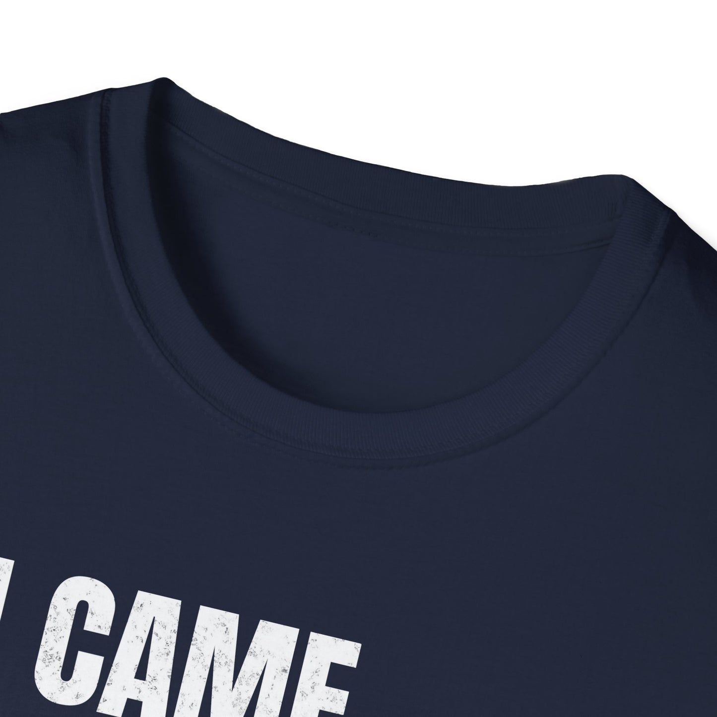 I Came. I Saw. I Tripped... T-Shirt