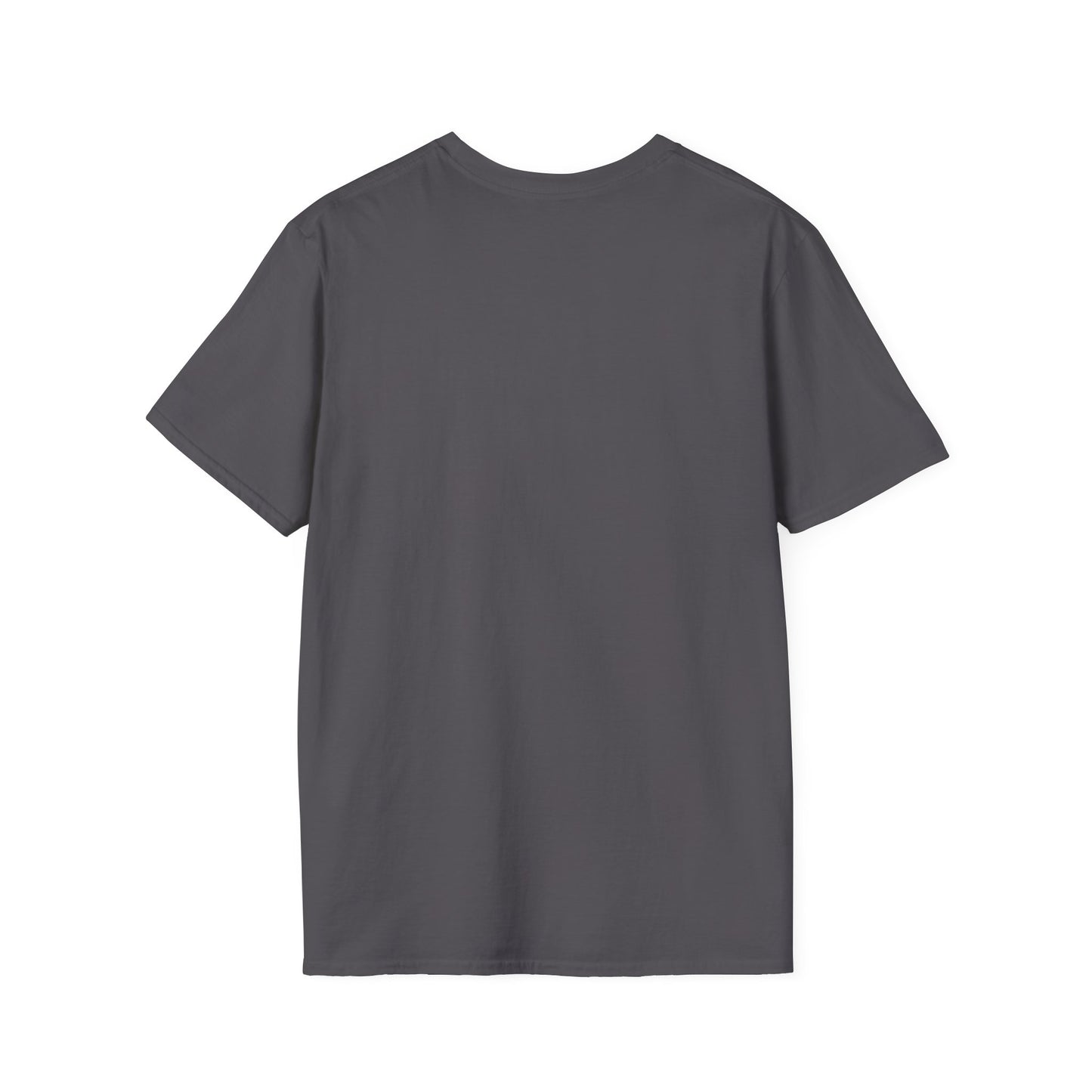 I Came. I Saw. I Tripped... T-Shirt