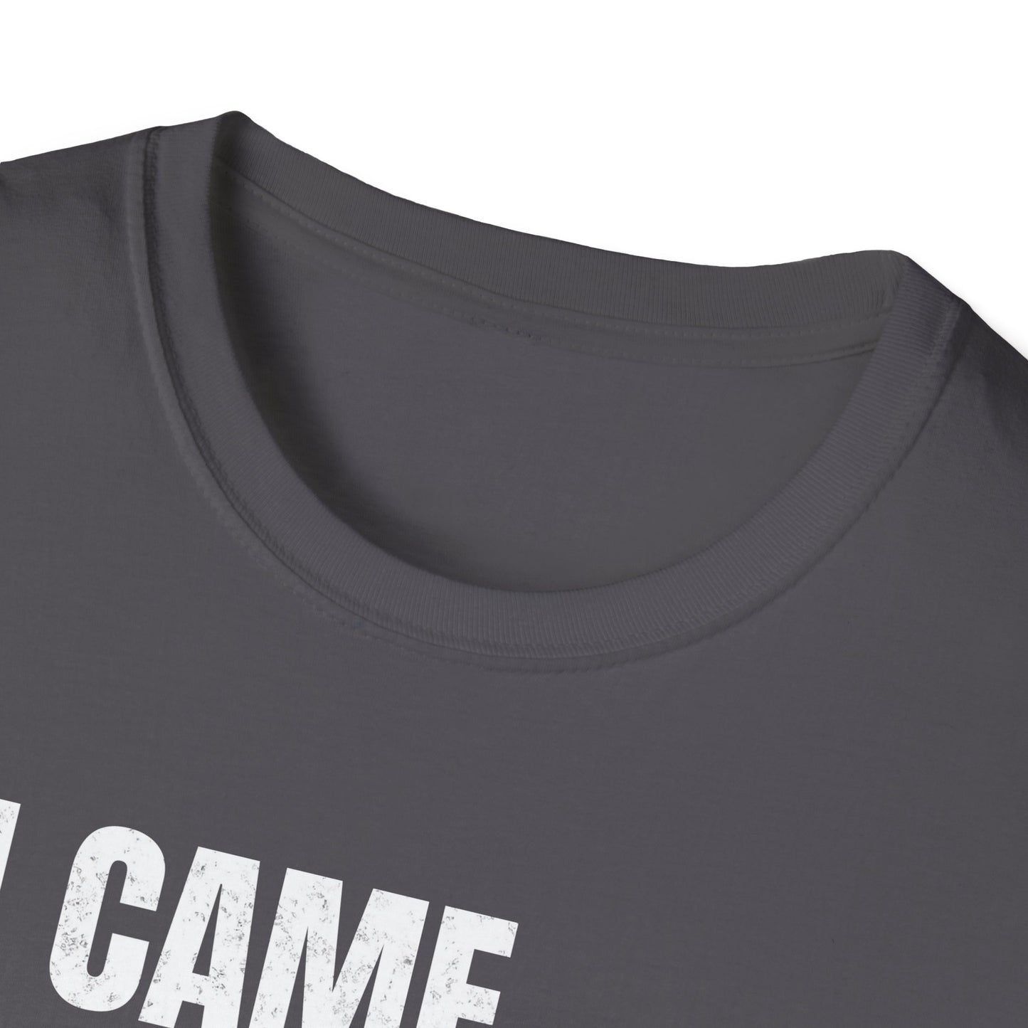 I Came. I Saw. I Tripped... T-Shirt