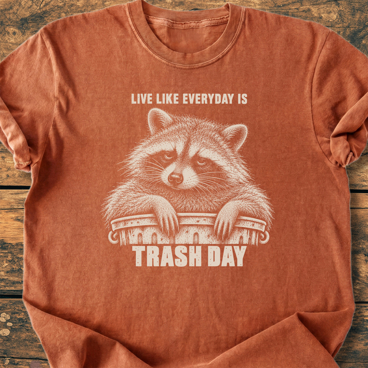 Trash Day - Premium Vintage Tee