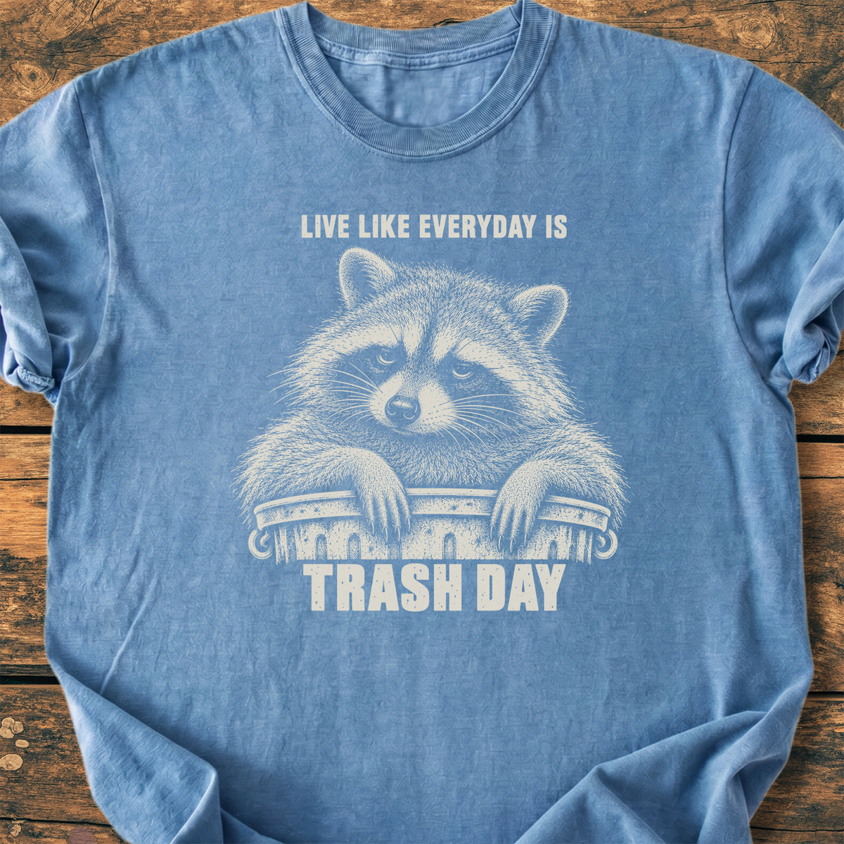 Trash Day - Premium Vintage Tee