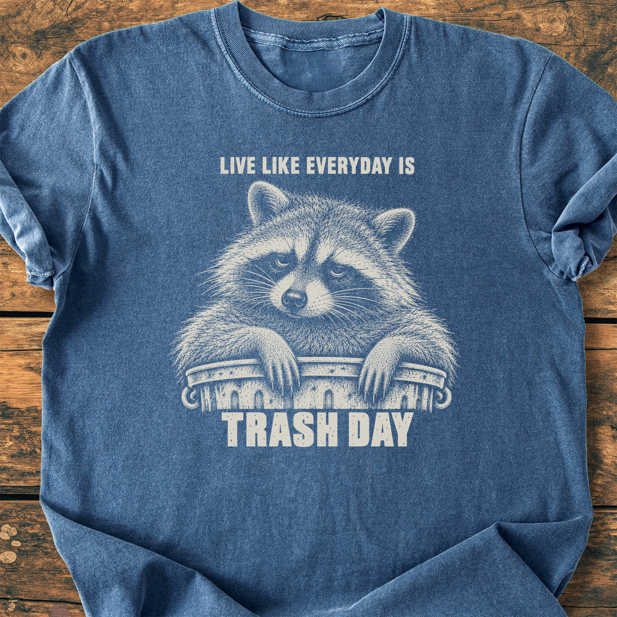 Trash Day - Premium Vintage Tee