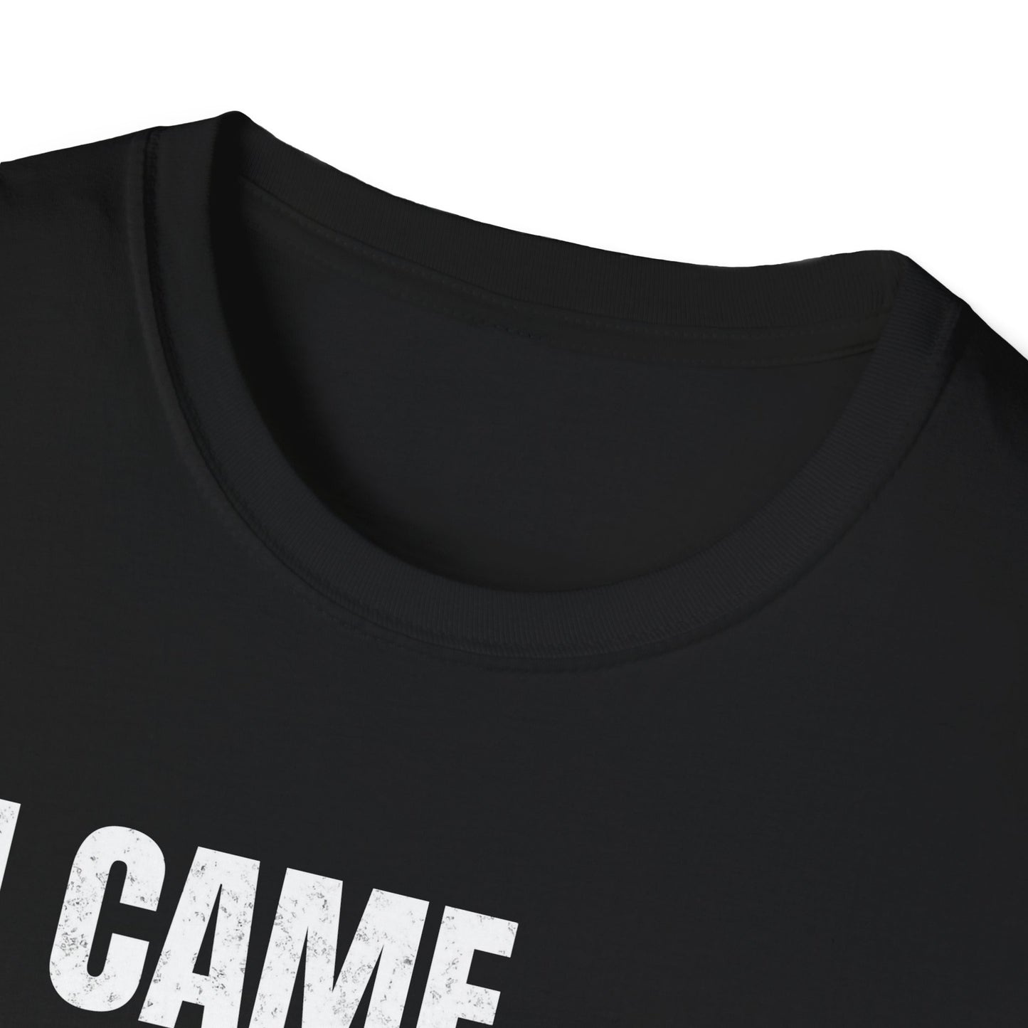 I Came. I Saw. I Tripped... T-Shirt