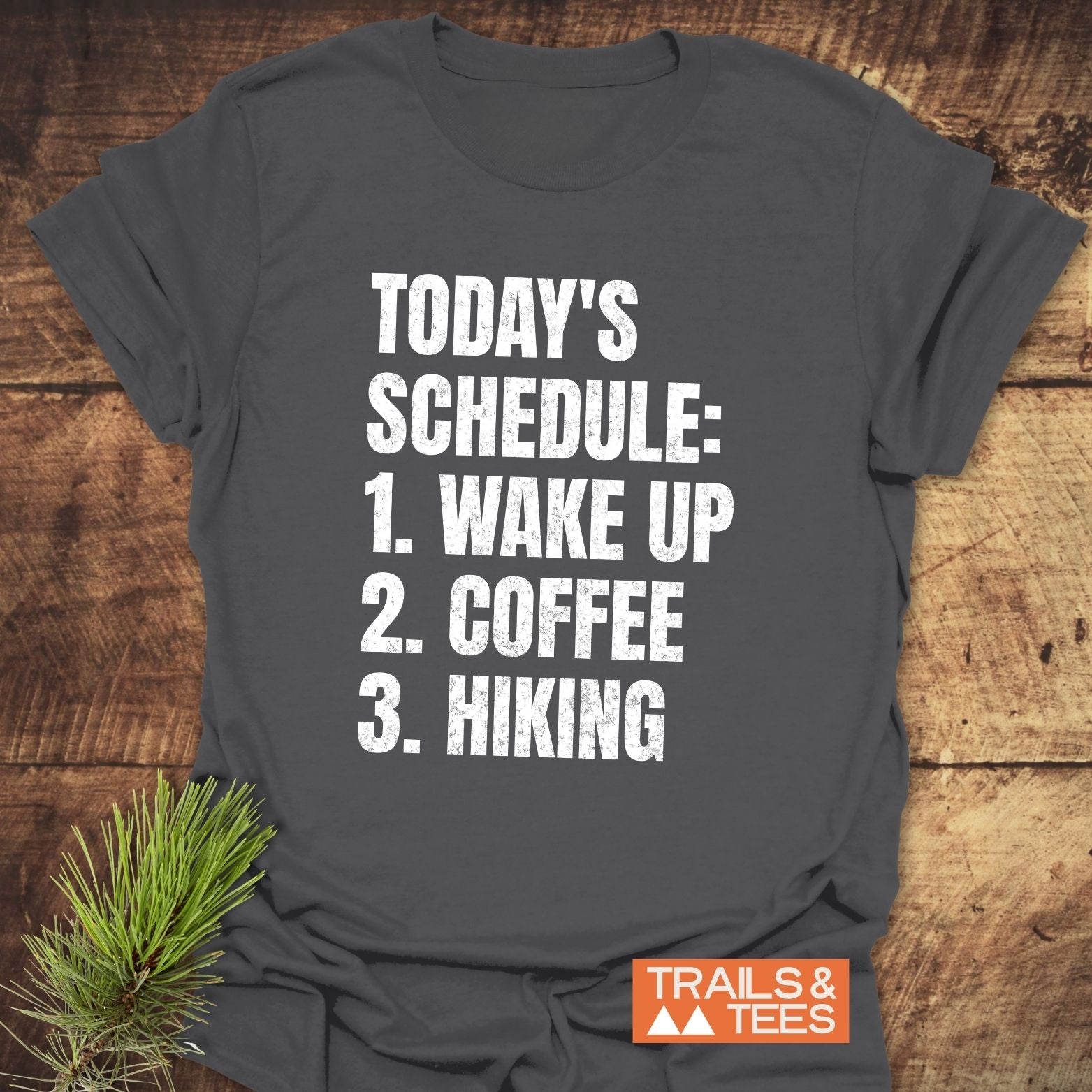 Today's Schedule Hiking T-Shirt in dark gray on wooden surface with pine sprig, featuring white lettering. Comfortable, durable cotton, ideal for outdoor enthusiasts.