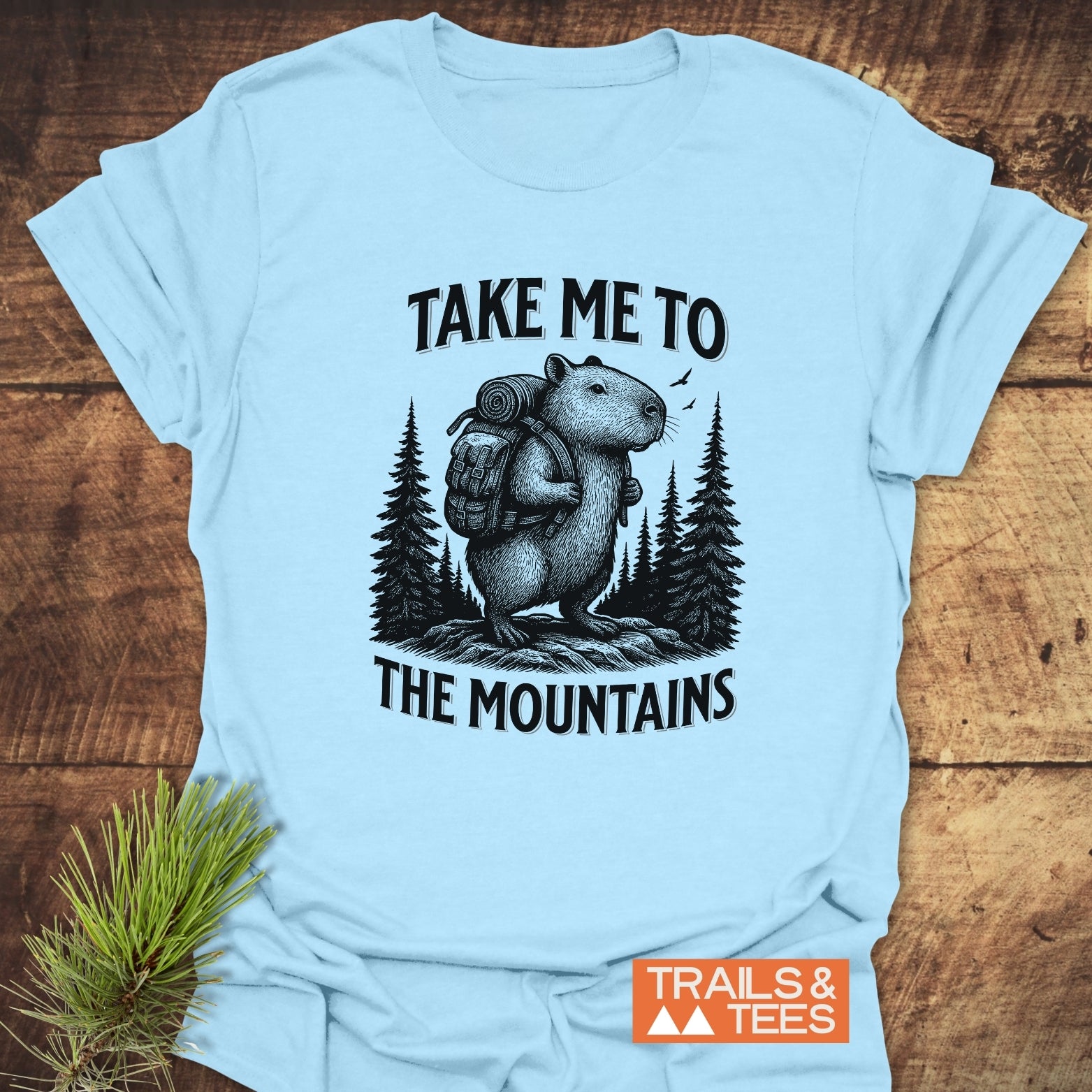 Capybara Mountains T-Shirt featuring a rodent on a rocky ledge with pine trees, slogan TAKE ME TO THE MOUNTAINS, and TRAILS & TEES logo.