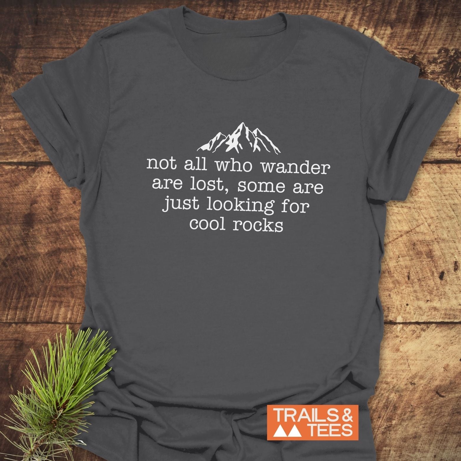 Looking For Cool Rocks T-Shirt with white mountain graphic, text, and orange logo. Laid flat with pine branch, highlighting outdoor-inspired design and comfort.