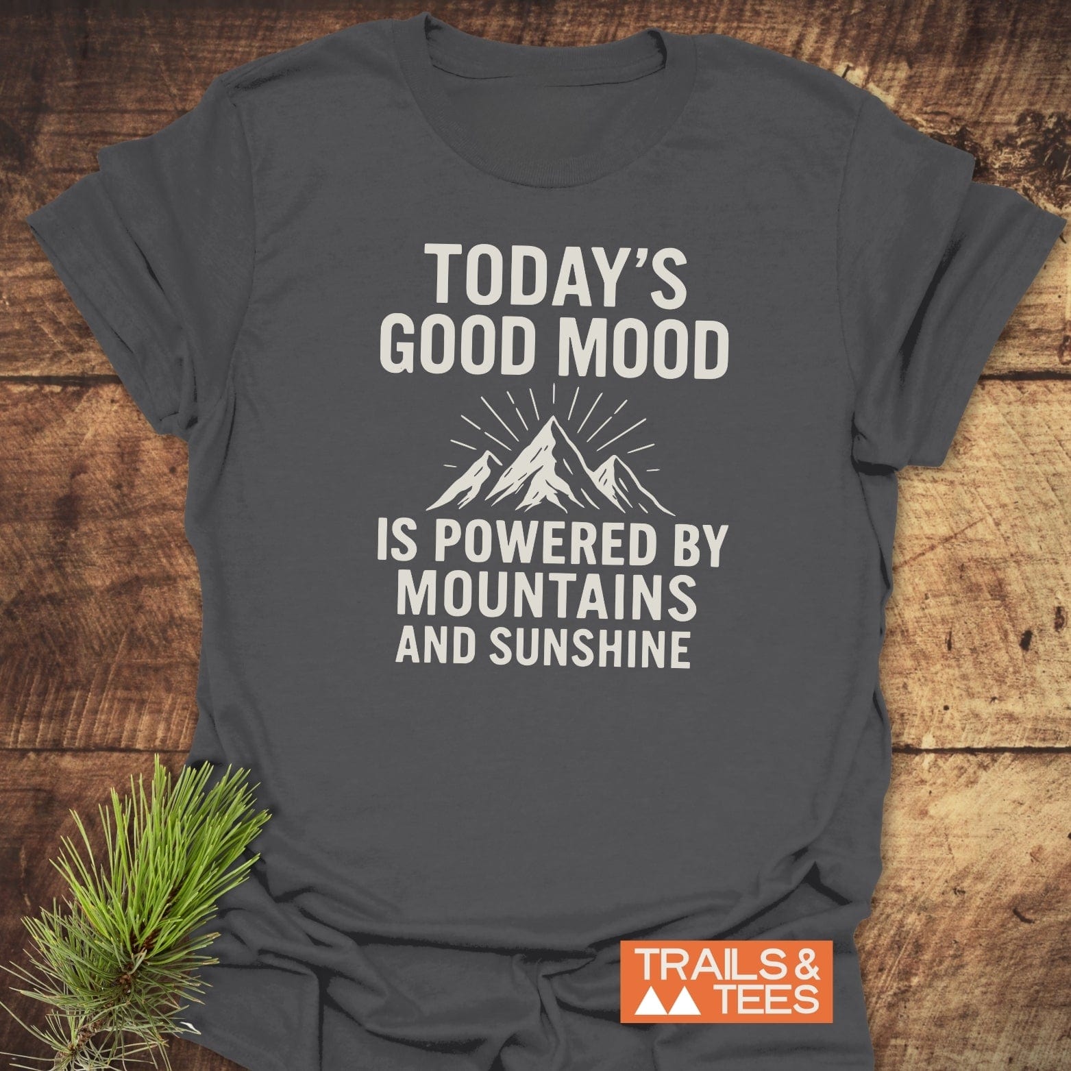 Powered By Mountains T-Shirt: Charcoal-gray, features mountain peak graphic with slogan. Soft, ring-spun cotton, pre-shrunk, durable print, taped shoulders, no side seams.