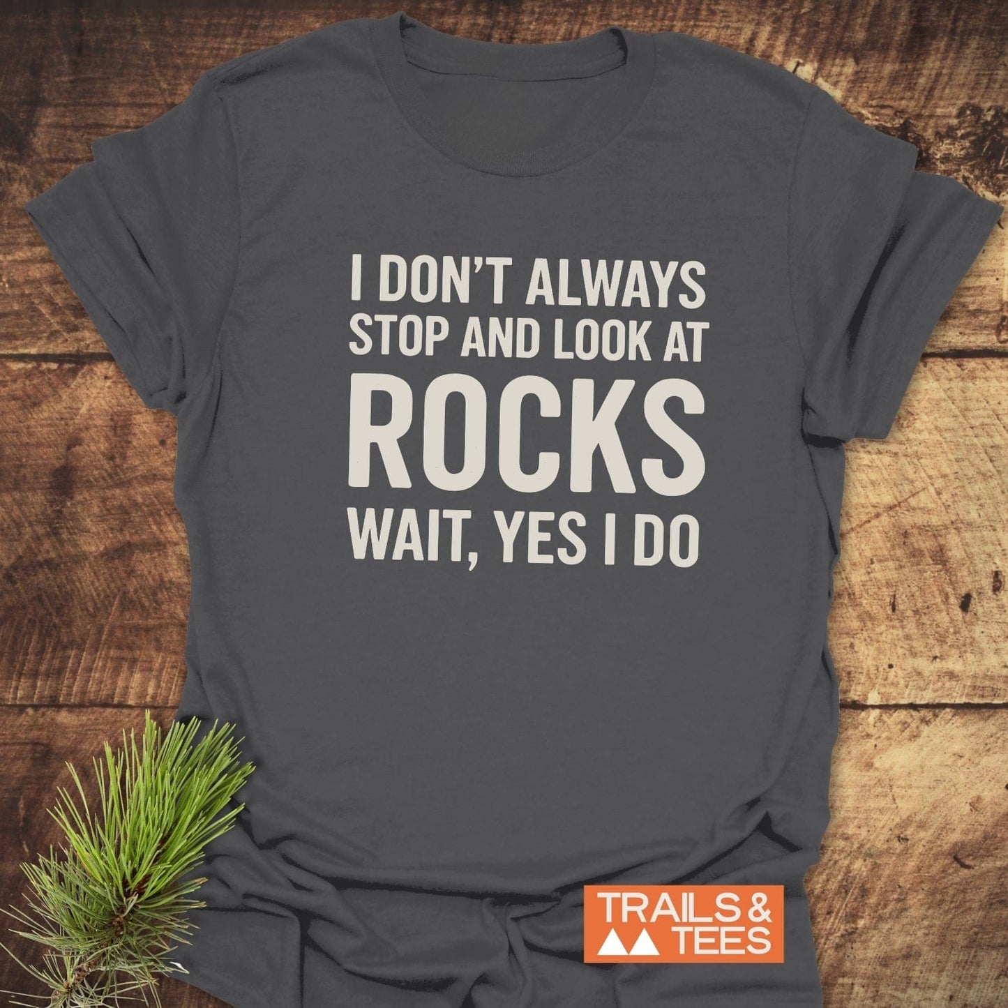Charcoal-gray I Don't Always... Rock Lover T-Shirt on a wooden surface, featuring bold white text and a small TRAILS & TEES logo in the corner.