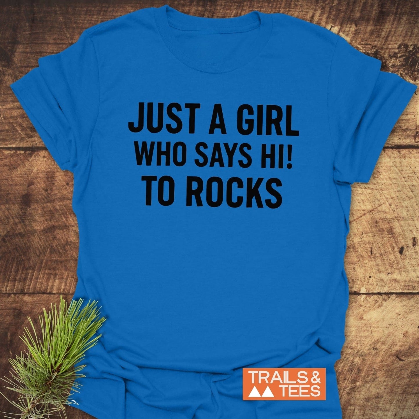 Say Hi To Rocks T-Shirt on wooden surface, featuring bold slogan and Trails & Tees logo, paired with pine sprig for an outdoorsy vibe.