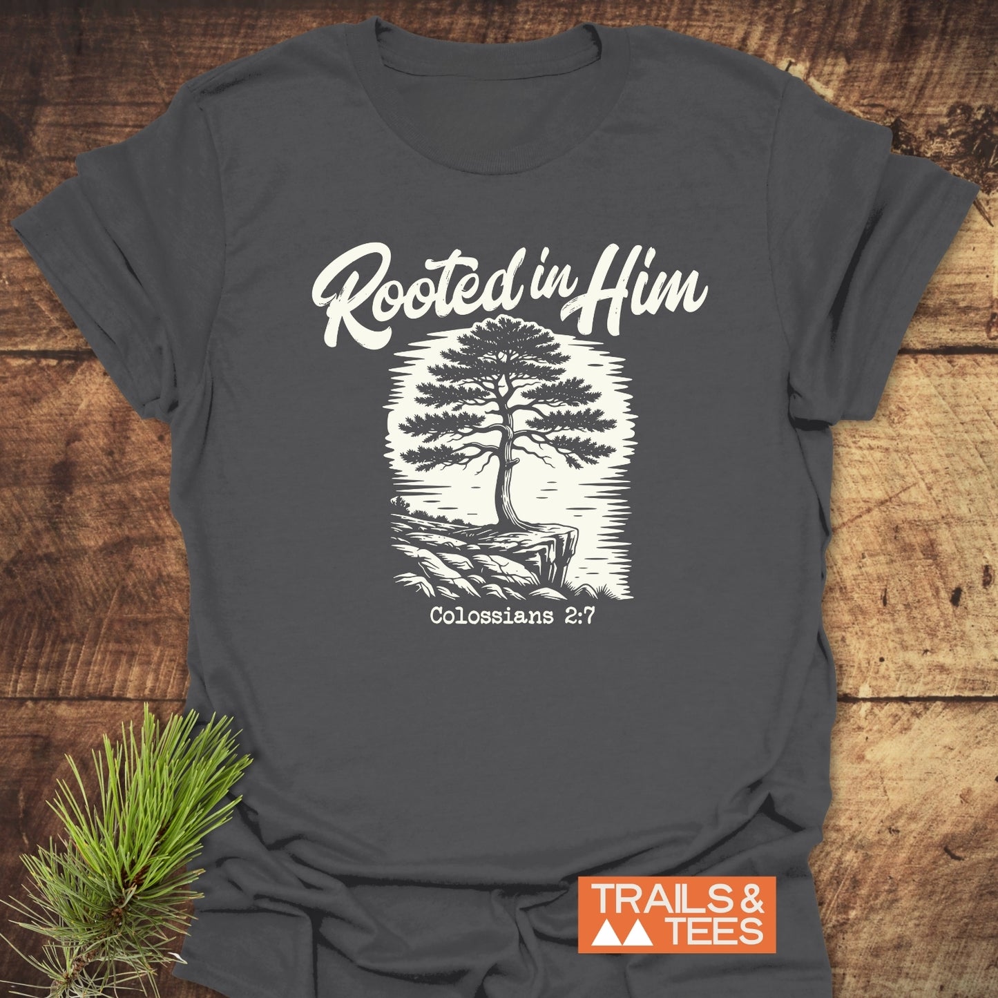 Charcoal-gray Rooted In Him Mountain T-Shirt featuring a white tree graphic with Colossians 2:7, styled on wood with a pine sprig. Perfect for outdoor enthusiasts, blending comfort with a spiritual message.