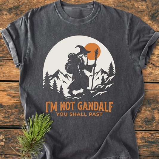 The You Shall Past - Vintage Wash Tee features a whimsical wizard graphic with orange accents, perfect for comfort and durability, showcased on a wooden surface beside a pine sprig.