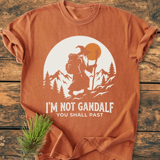 You Shall Past - Vintage Wash Tee featuring a whimsical wizard silhouette and playful caption on a rust-orange backdrop, laid on a rustic wood surface. Relaxed fit, 100% ring-spun cotton.
