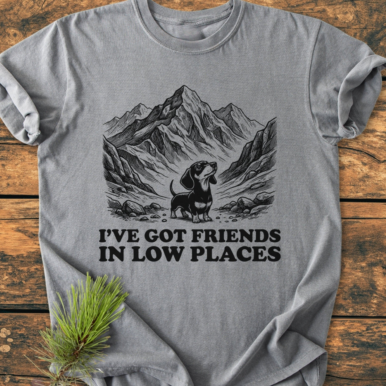 Friends In Low Places - Vintage Wash Tee features a heather-gray T-shirt with a mountain-valley scene and a dachshund, plus the slogan “I’VE GOT FRIENDS IN LOW PLACES” below the artwork.