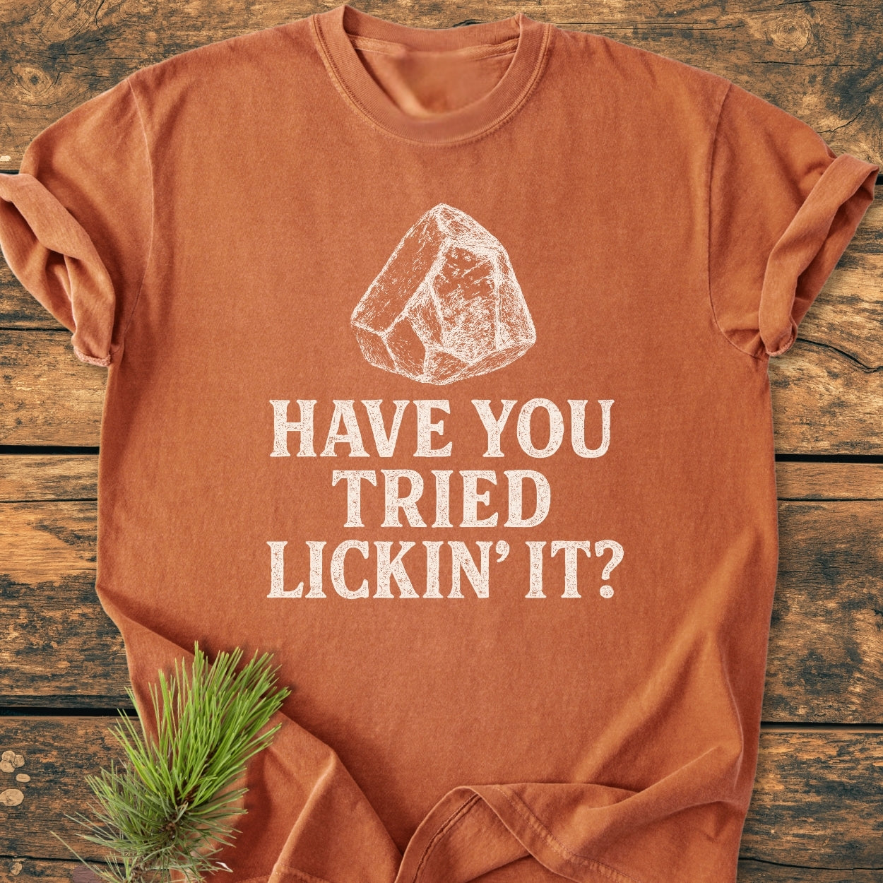 The Have You Tried... Rockhound - Vintage Wash Tee features a hand-sketched rock design with playful text, laid flat with a pine sprig accent, showcasing its relaxed, durable build.