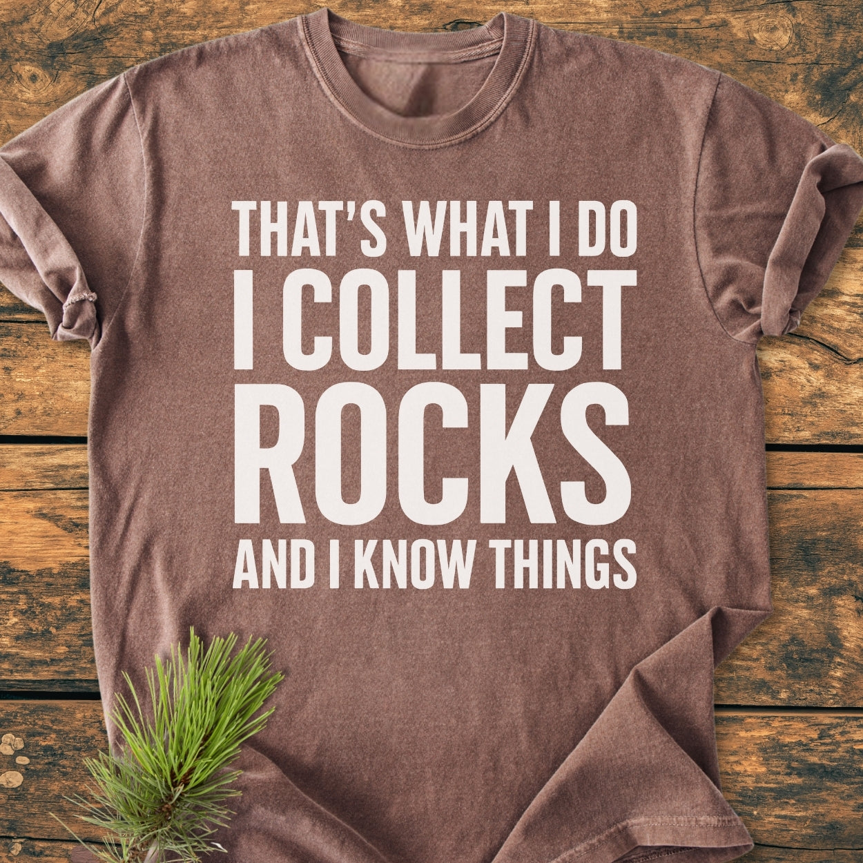 I Collect Rocks - Vintage Wash Tee laid flat, featuring bold white lettering. Styled with a pine sprig, showcasing the Comfort Colors 1717's relaxed fit and durable double-needle stitching.