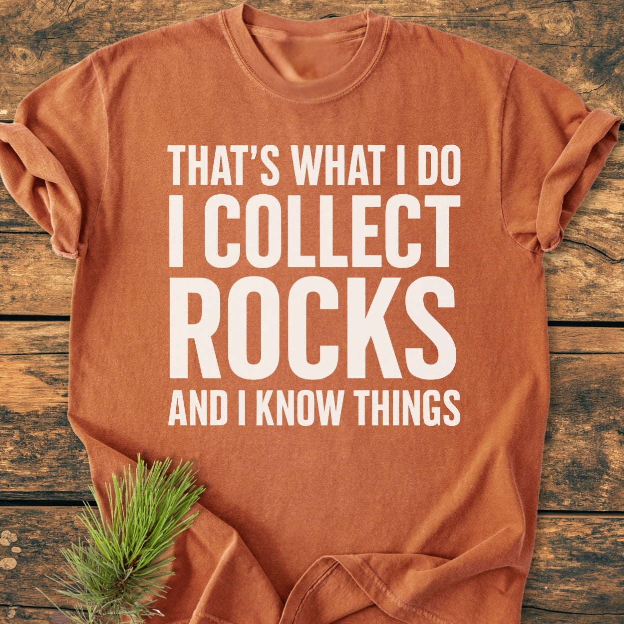 I Collect Rocks - Vintage Wash Tee, rust-colored, laid on wood, with bold white slogan and a pine sprig beside it, showcasing its relaxed fit and soft-washed, garment-dyed texture.