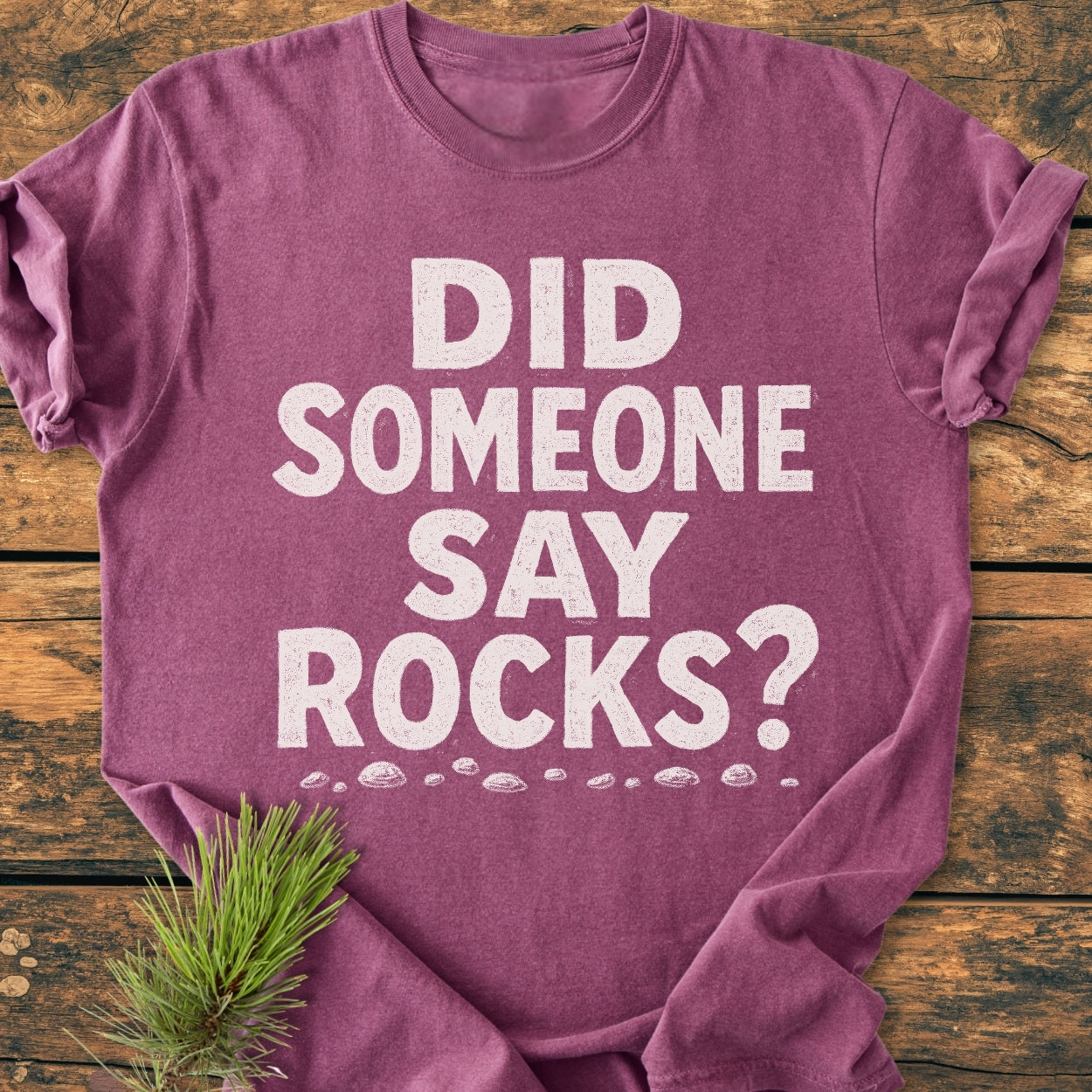 Did Someone Say Rocks? - Vintage Wash Tee, featuring distressed white text and rock illustrations on a folded, short-sleeve T-shirt, laid on wood with pine sprig accentuating its cozy, relaxed appeal.