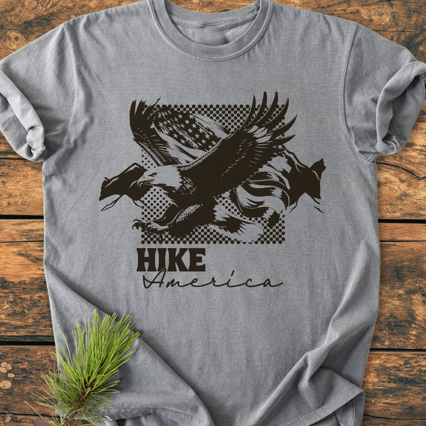 Hike America - Vintage Wash Tee: Heather-grey T-shirt with a bald eagle, mountain, and flag graphic, plus Hike America text. Laid flat with pine sprig accent.