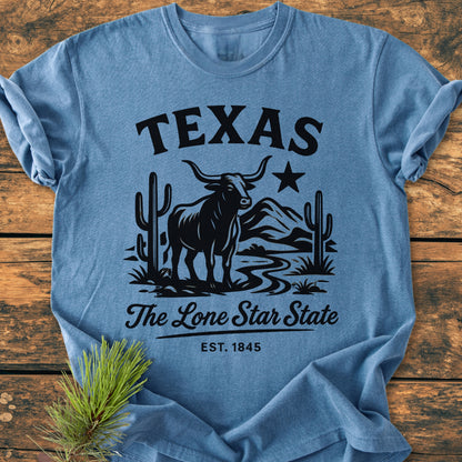 Texas, The Lone Star State - Vintage Wash Tee features TEXAS and a longhorn steer graphic with desert elements, emphasizing state pride. A relaxed, durable, pre-shrunk tee in garment-dyed, soft-washed cotton.