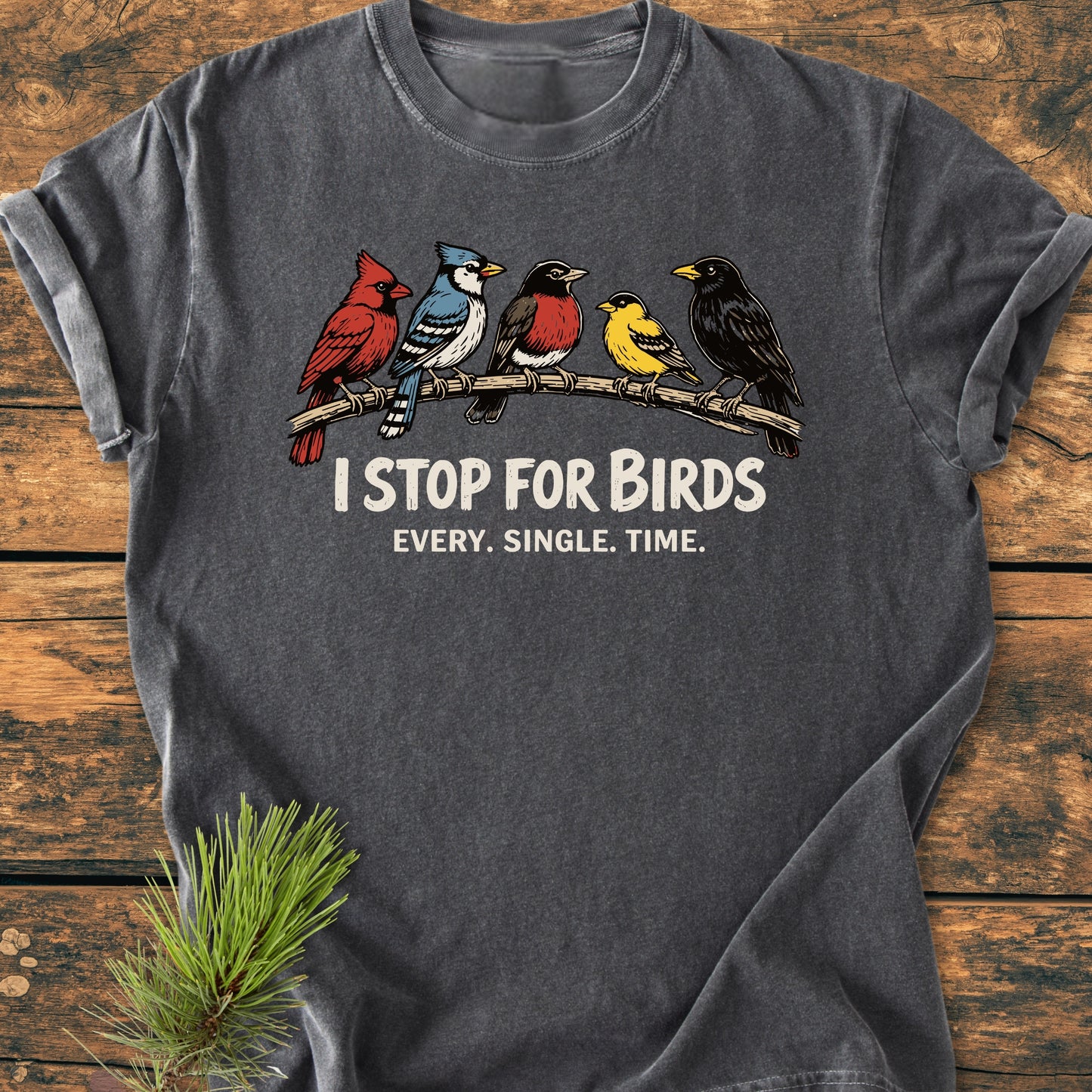 Charcoal-gray I Stop For Birds - Vintage Wash Tee laid flat, featuring five colorful songbirds on a branch with bold white slogan, highlighting its relaxed fit and durable, soft-washed, 100% ring-spun cotton fabric.