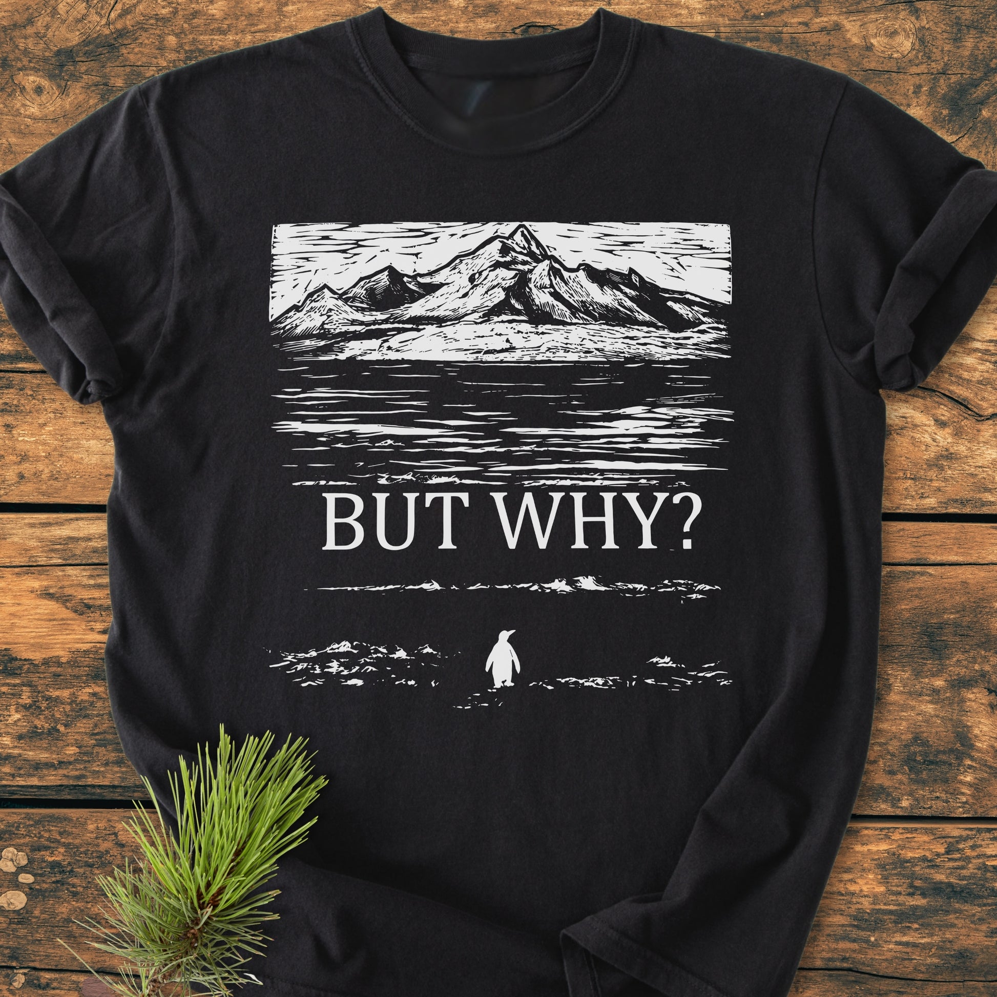 But Why - Vintage Heavyweight Tee featuring a woodcut-style mountain and water print, “BUT WHY?” text, and a penguin silhouette, displayed on a wooden surface, showcasing its relaxed fit and durability.