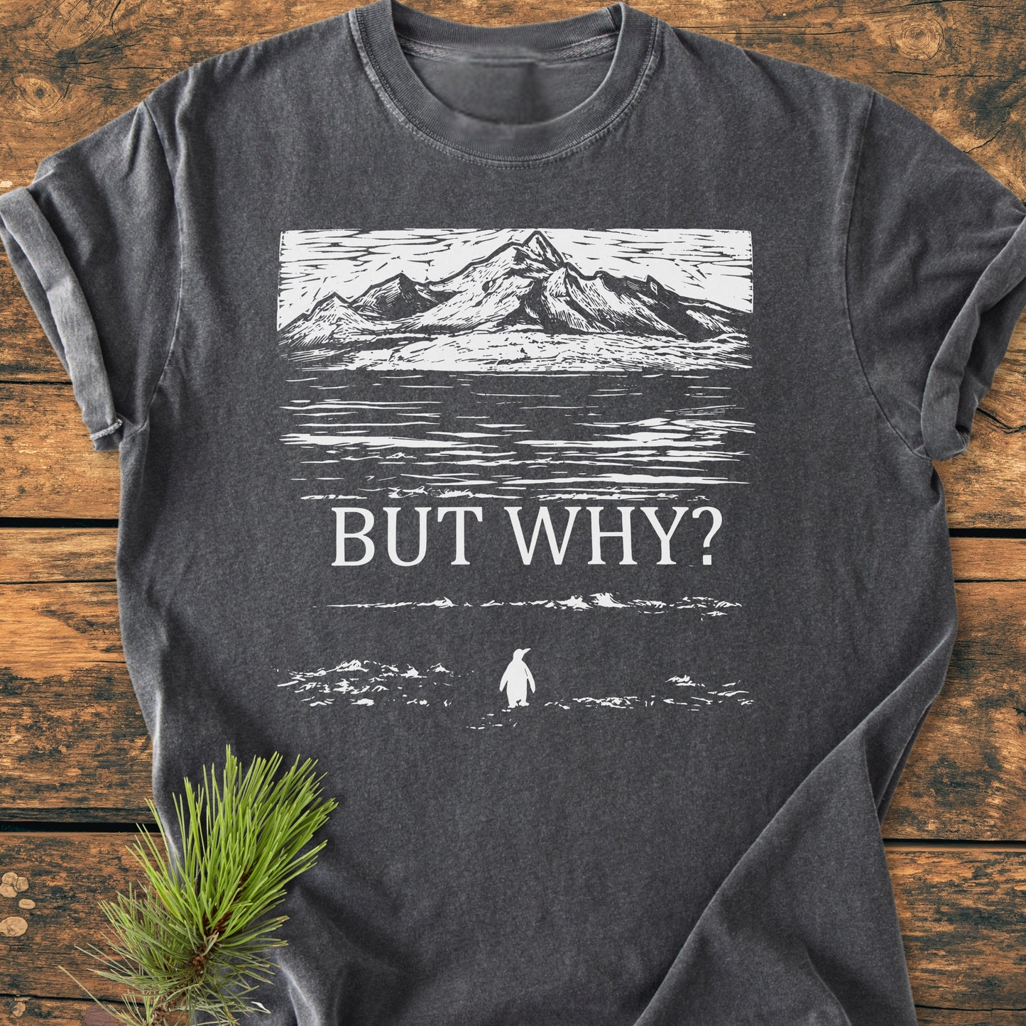 But Why - Vintage Heavyweight Tee with a mountain and penguin design on a charcoal-gray T-shirt, laid flat on wood, featuring durable stitching and a comfortable, relaxed fit.