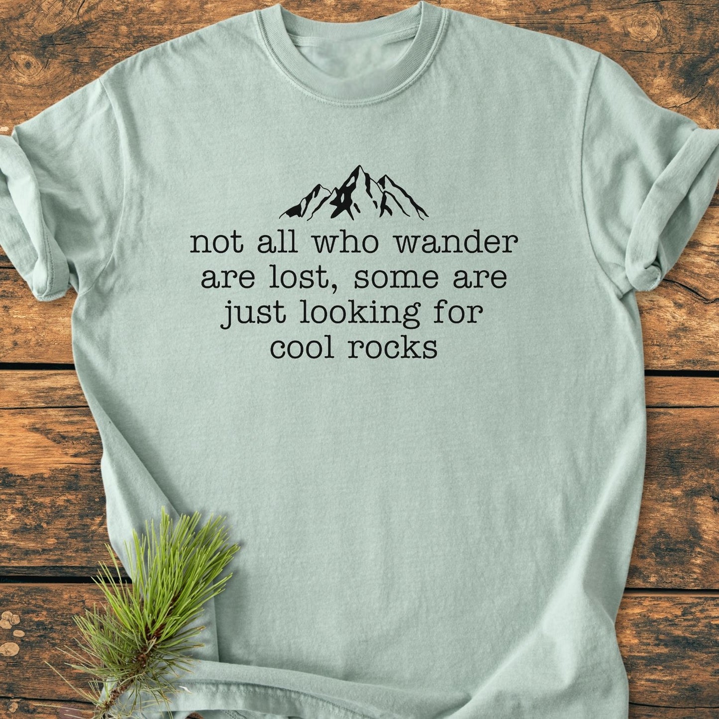 Looking For Cool Rocks - Vintage Wash Tee