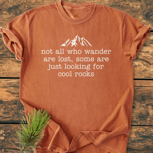 Looking For Cool Rocks - Vintage Wash Tee
