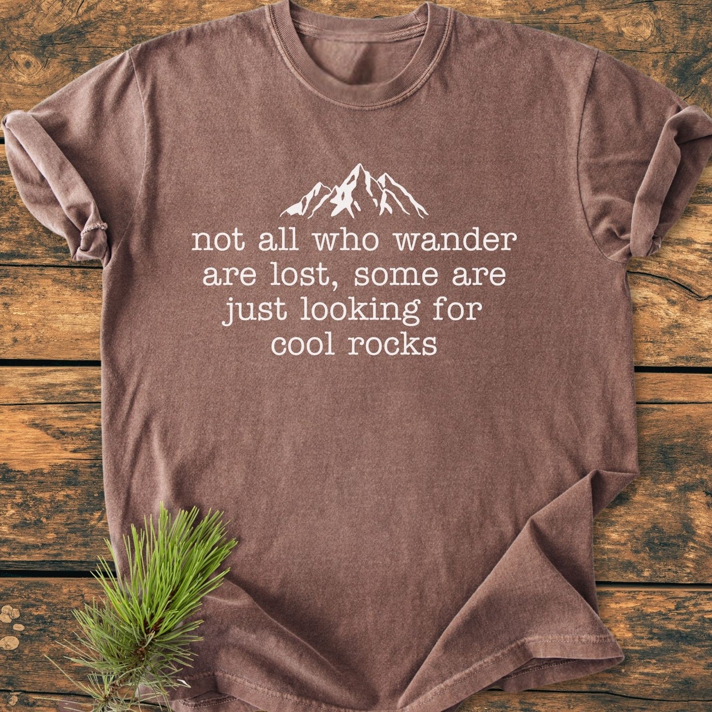 Looking For Cool Rocks - Vintage Wash Tee
