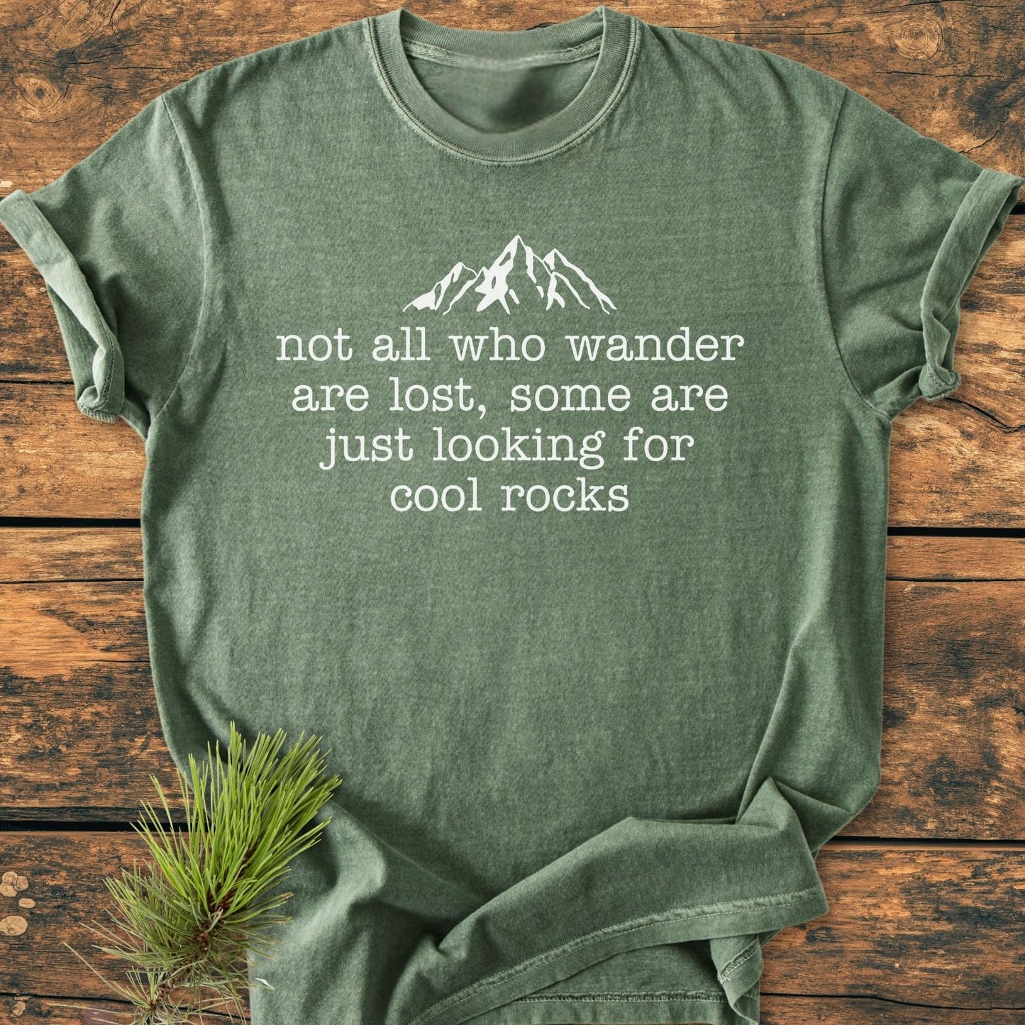 Looking For Cool Rocks - Vintage Wash Tee