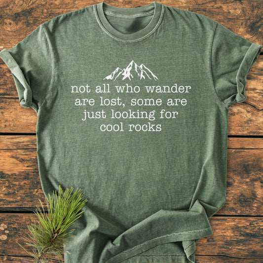 Looking For Cool Rocks - Premium Vintage Tee