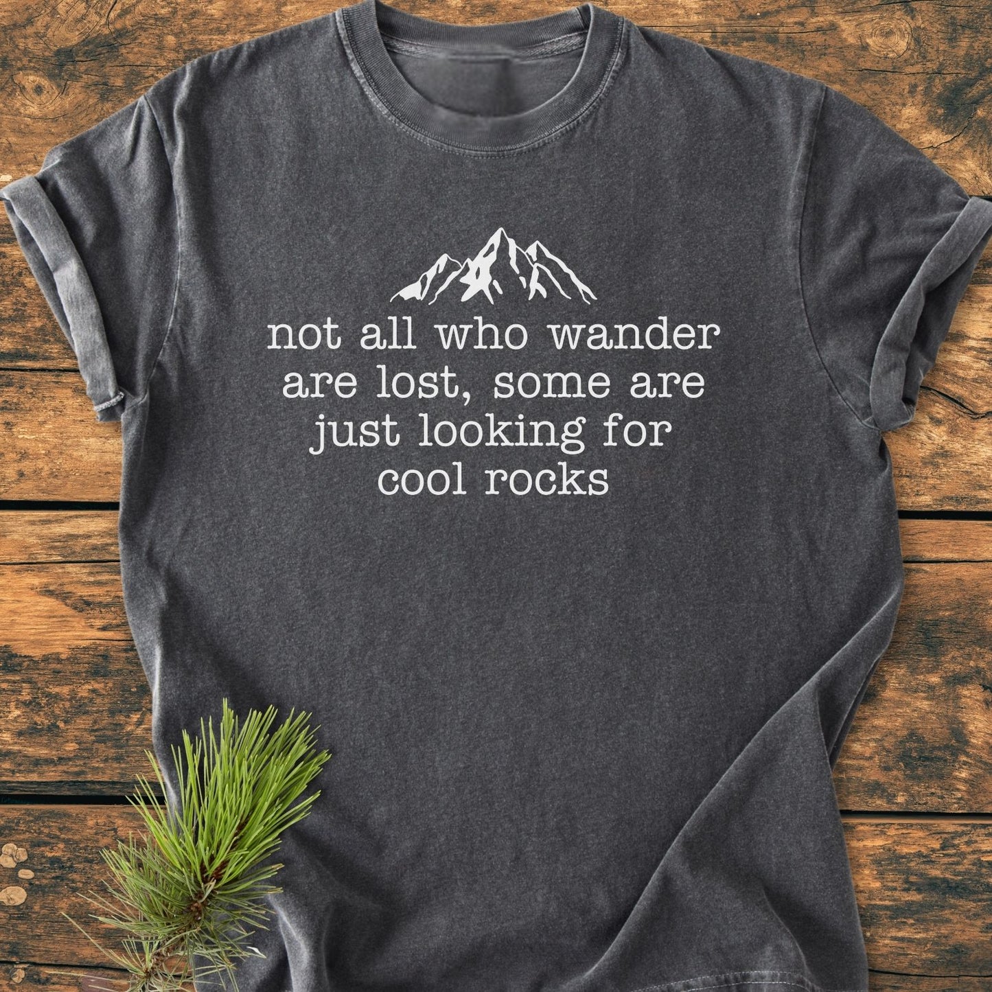 Looking For Cool Rocks - Vintage Wash Tee
