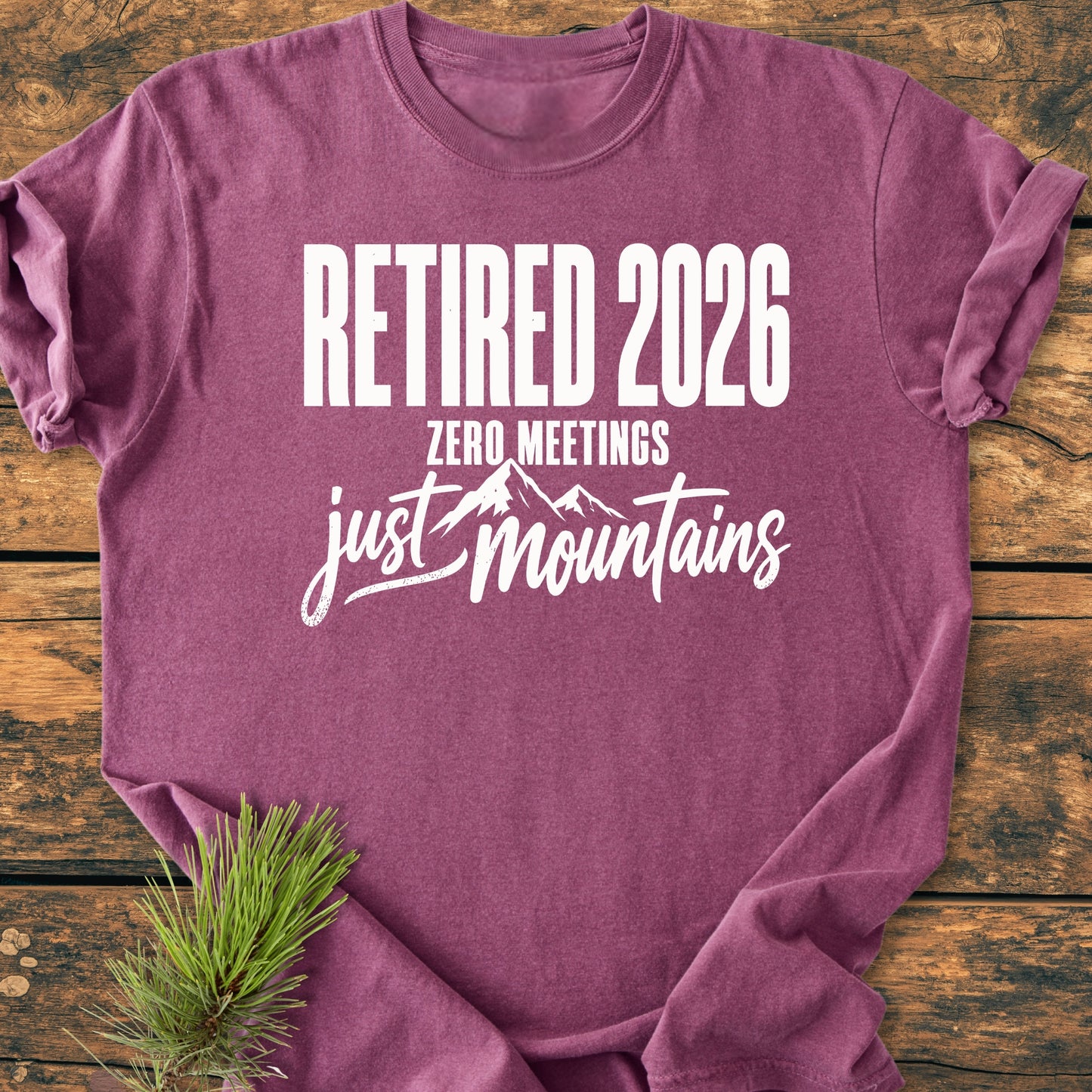 Retired 2026 - Just Mountains - Vintage Wash Tee