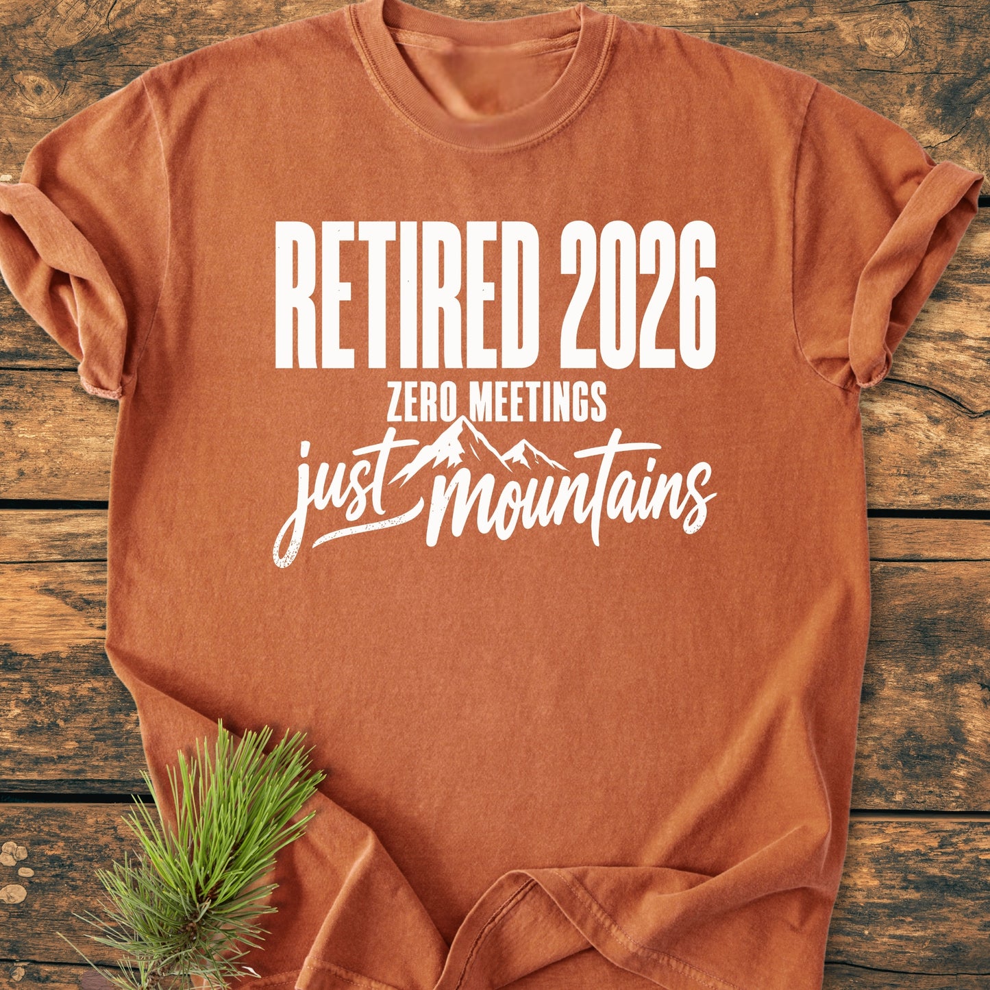 Retired 2026 - Just Mountains - Vintage Wash Tee