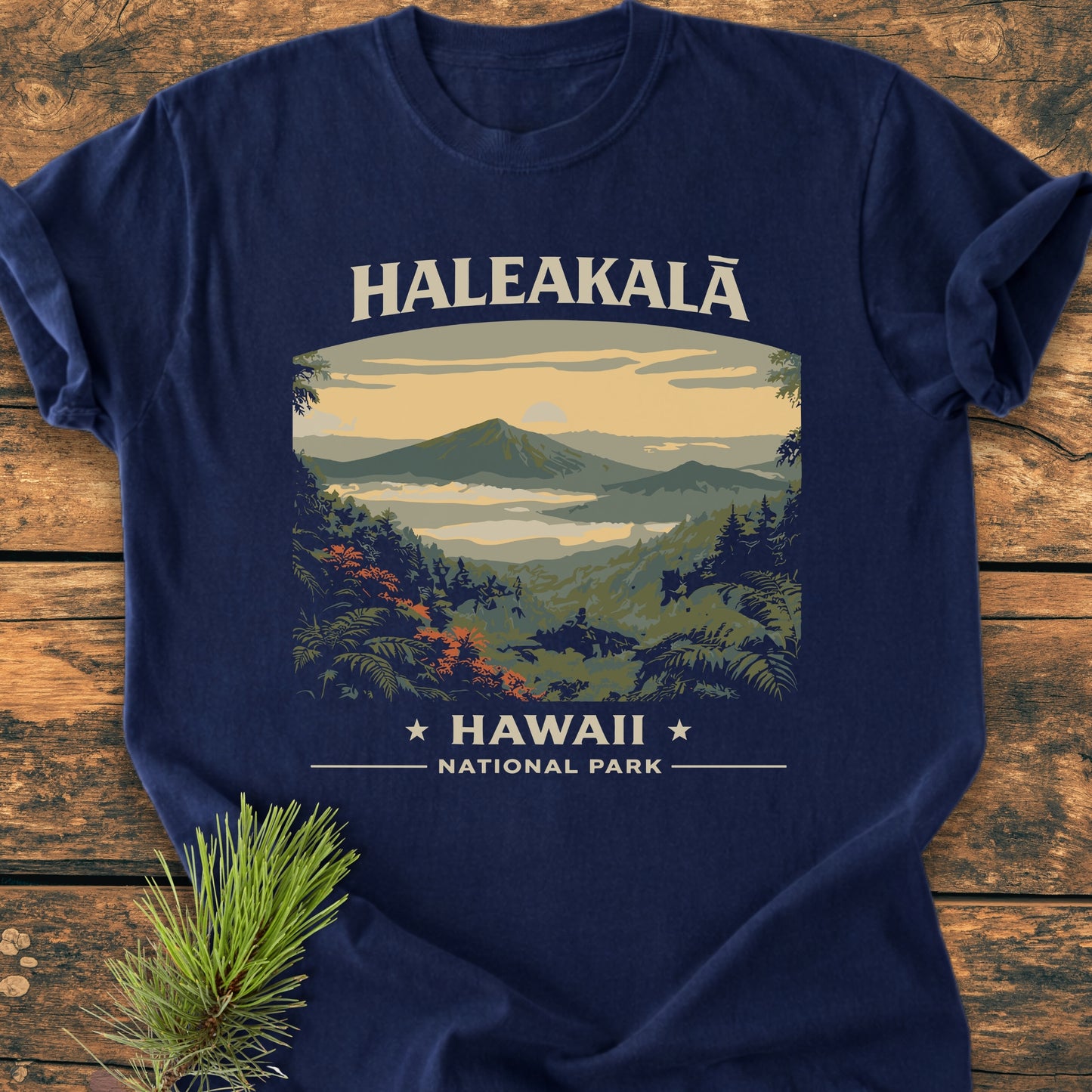 Haleakala Hawaii National Park - Vintage Wash Tee
