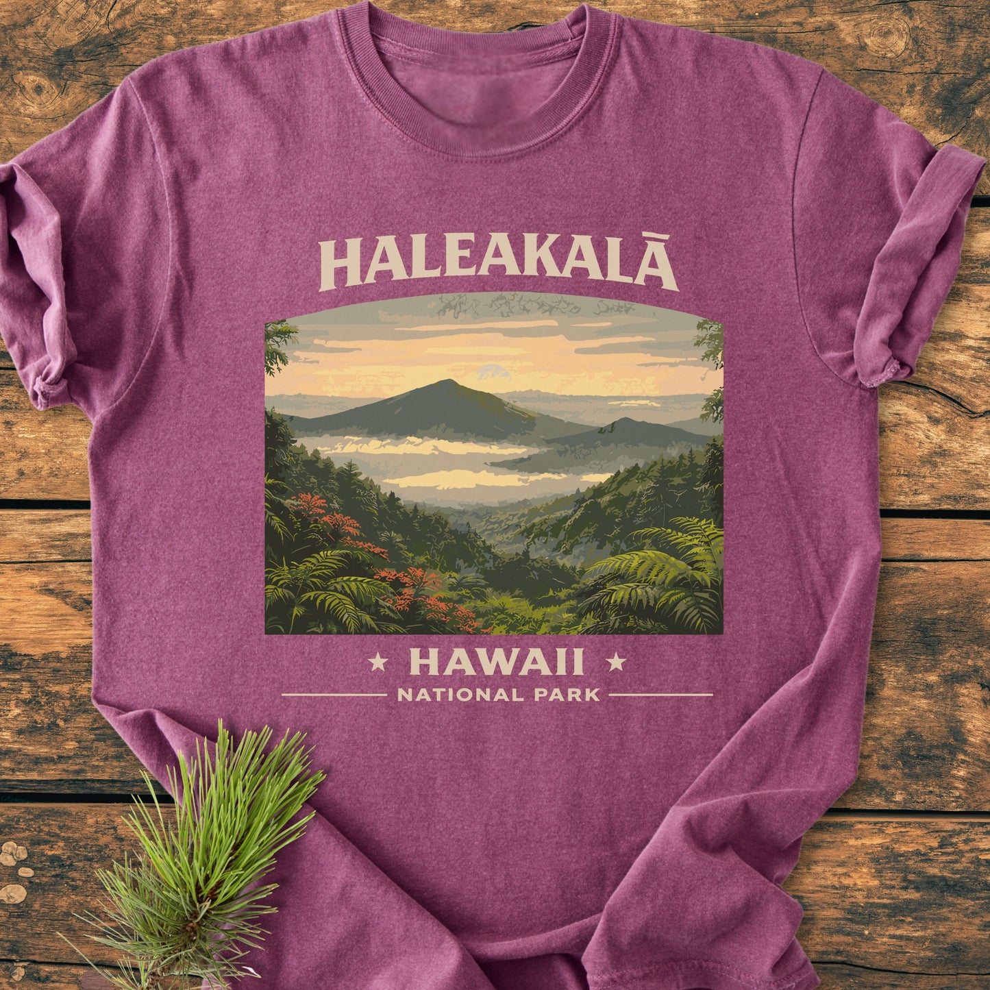 Haleakala Hawaii National Park - Vintage Wash Tee