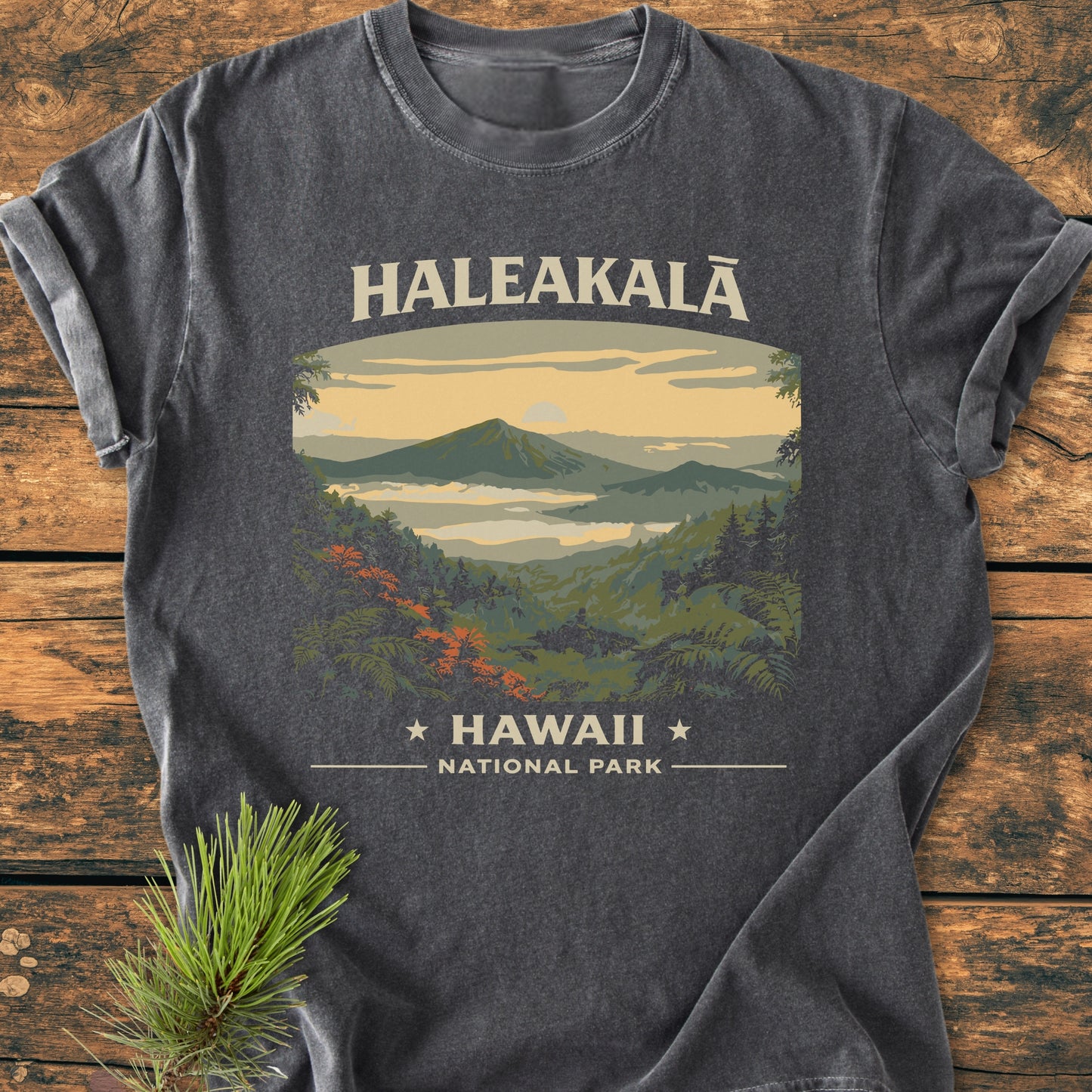 Haleakala Hawaii National Park - Vintage Wash Tee