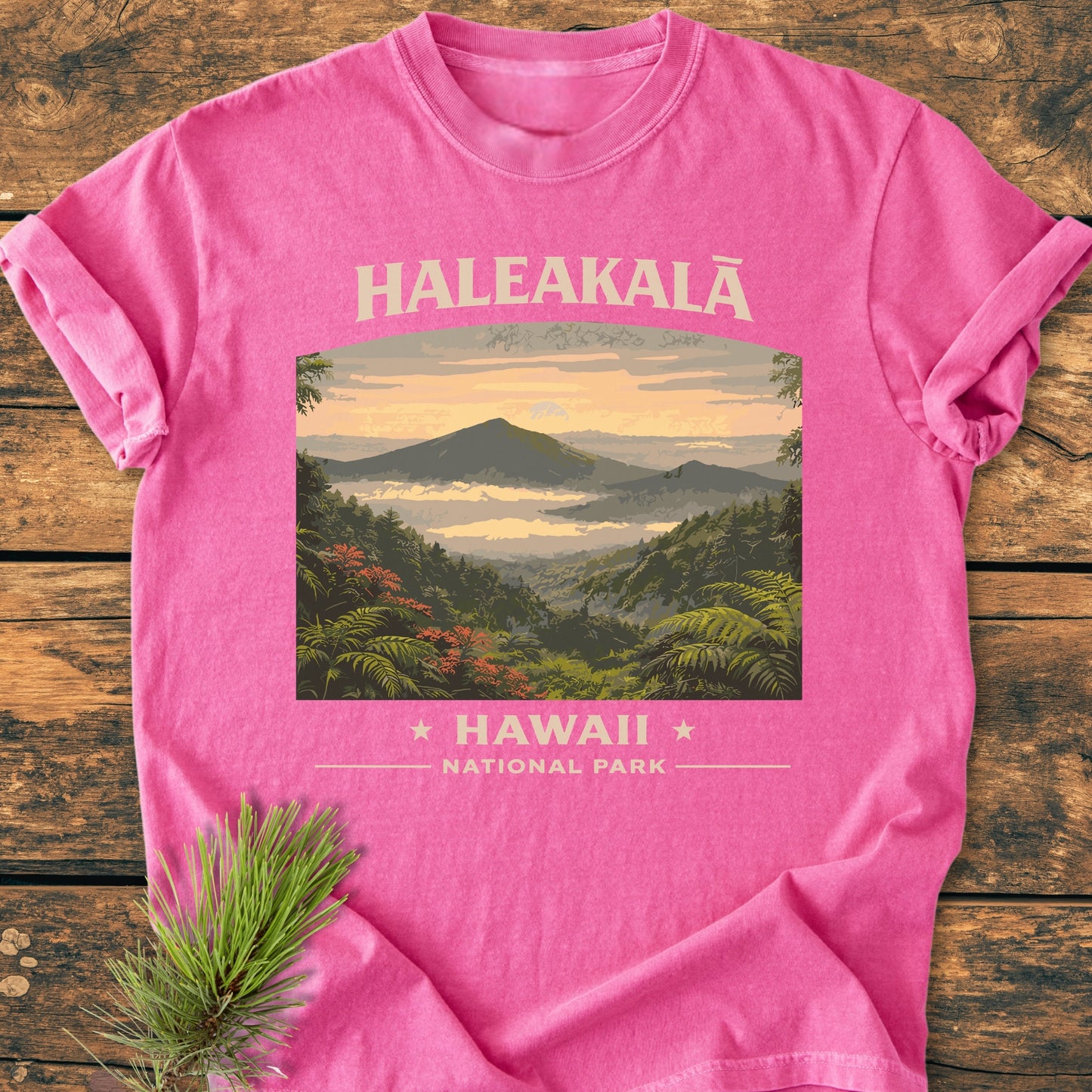Haleakala Hawaii National Park - Vintage Wash Tee