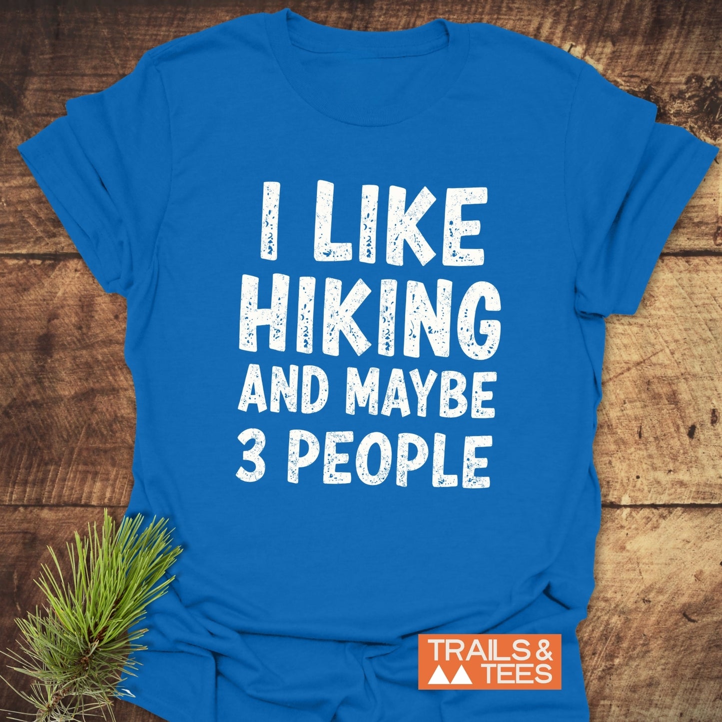 I Like Hiking And Maybe 3 People T-Shirt